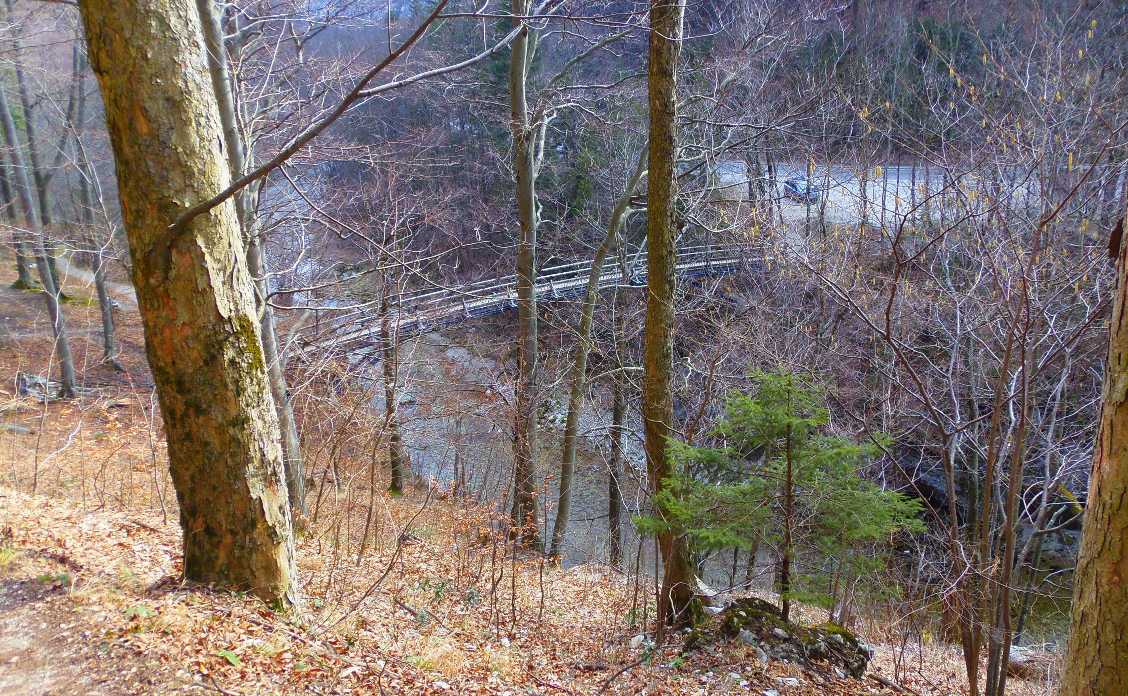 p2276811.JPG