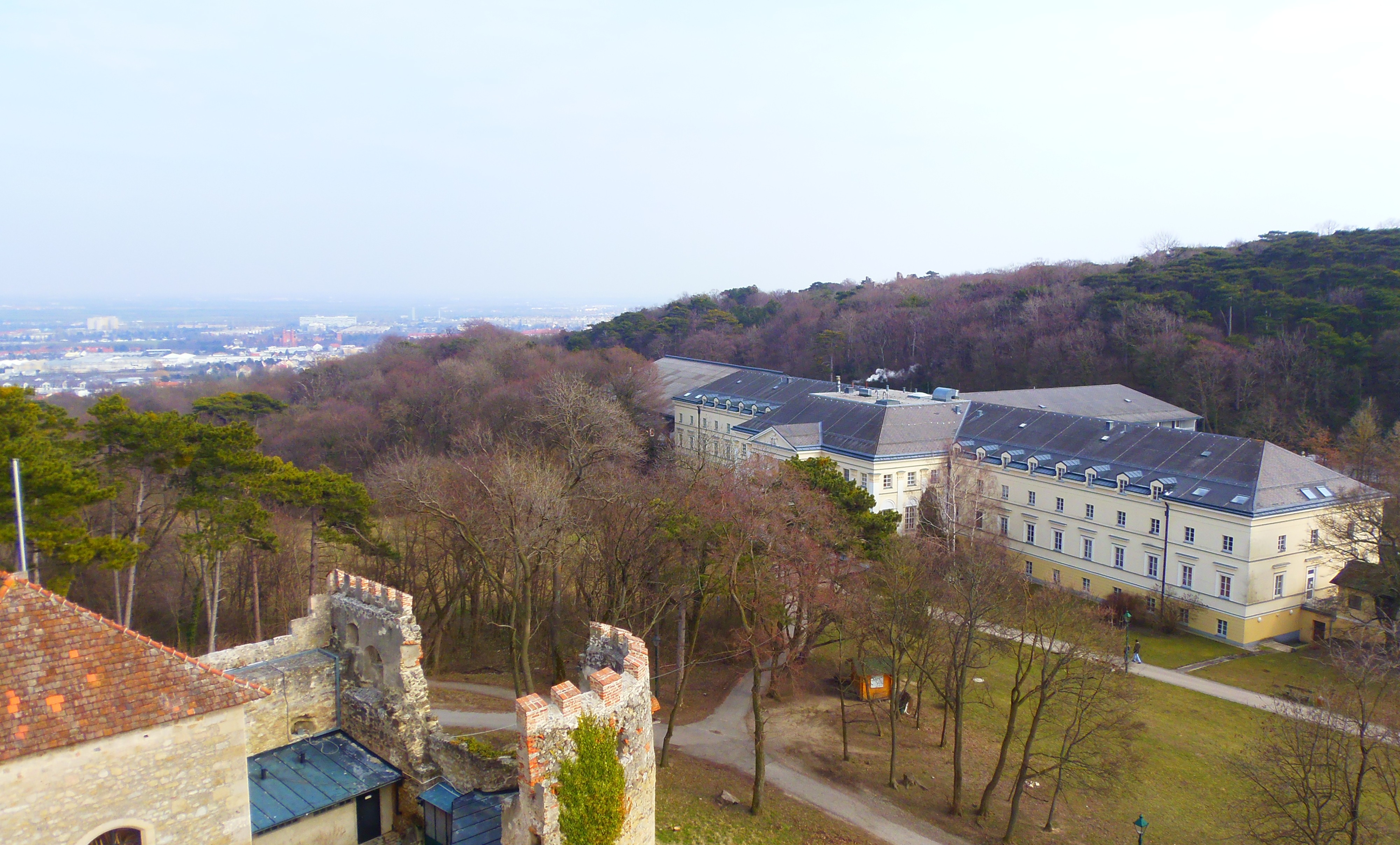 p3232946.JPG