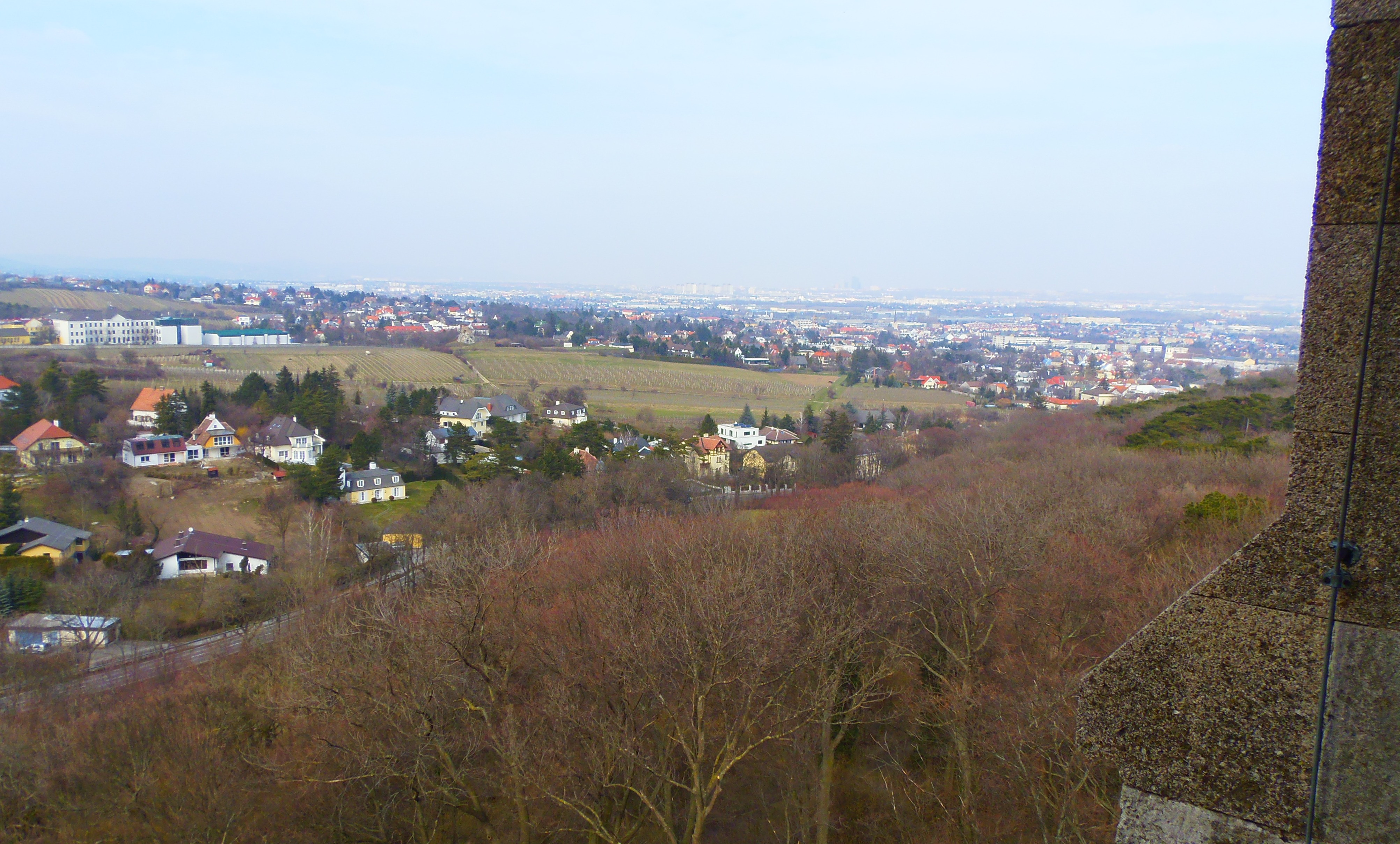 p3232950.JPG