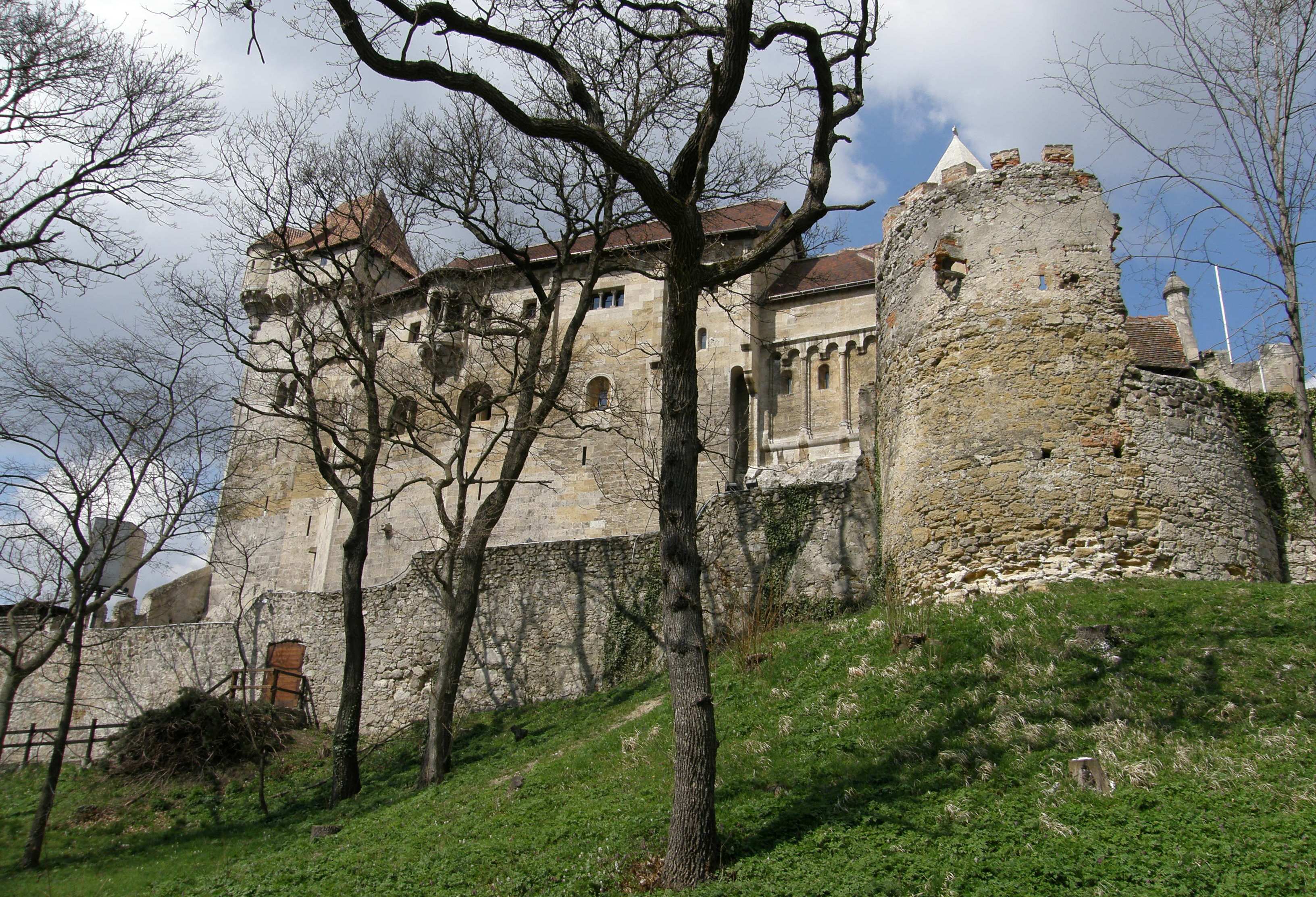 p4020092.JPG