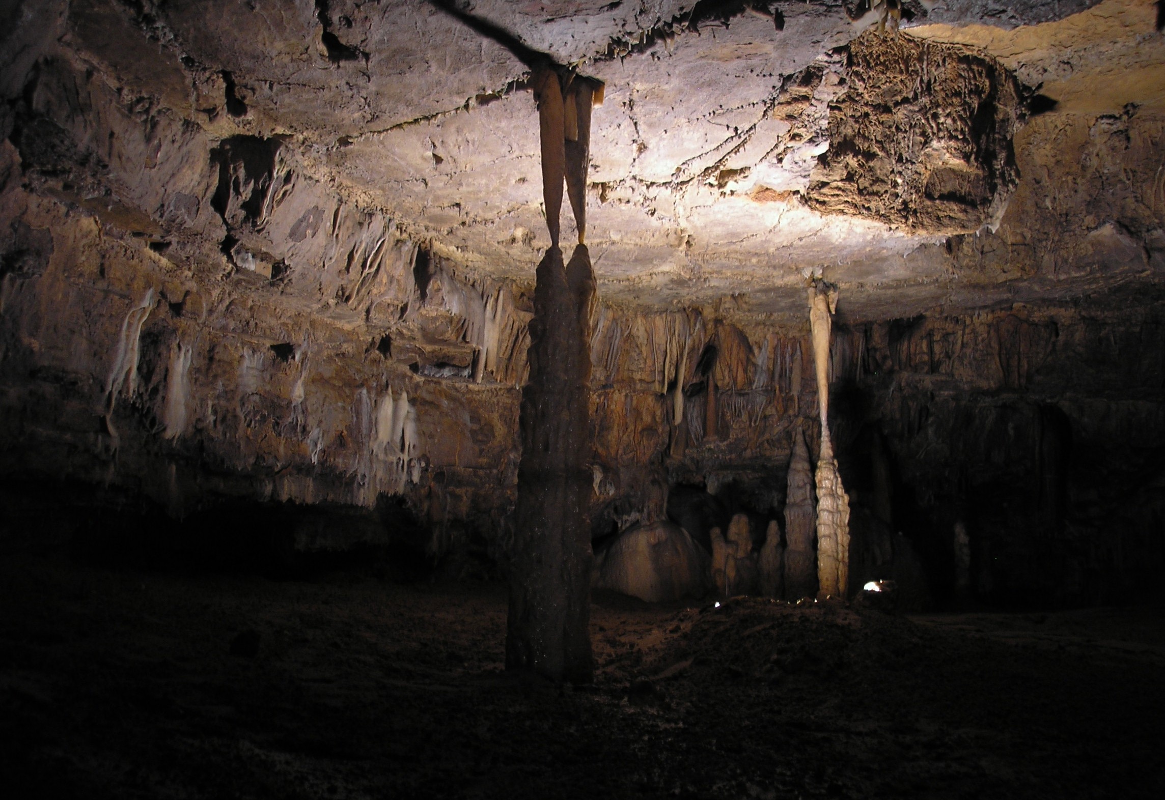 p4100185.JPG