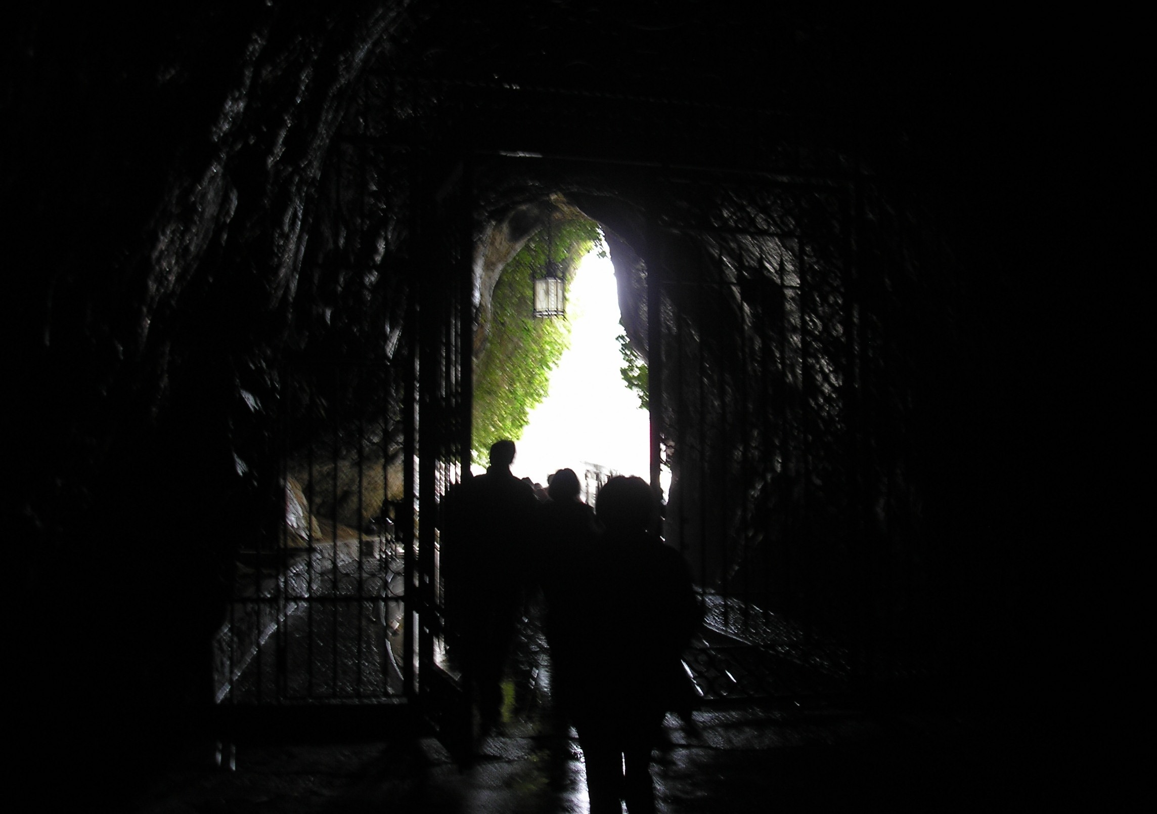 p4100207.JPG