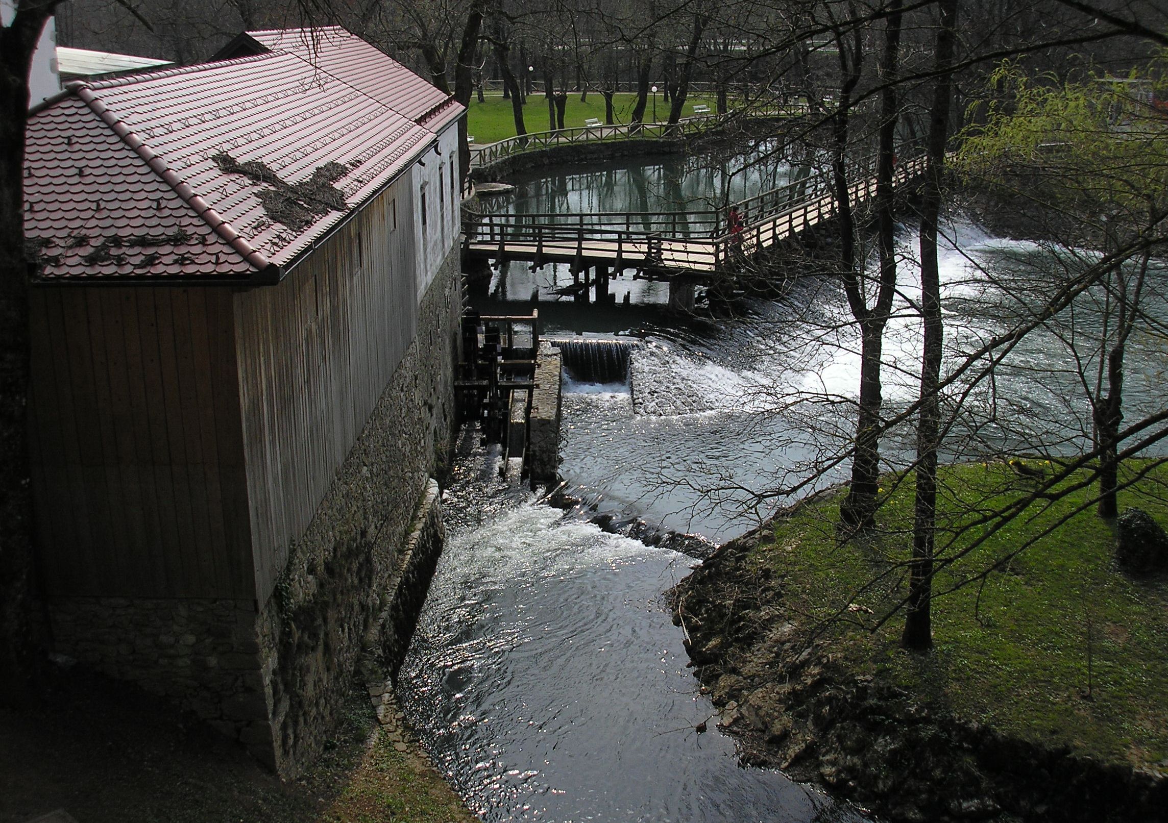 p4100227.JPG