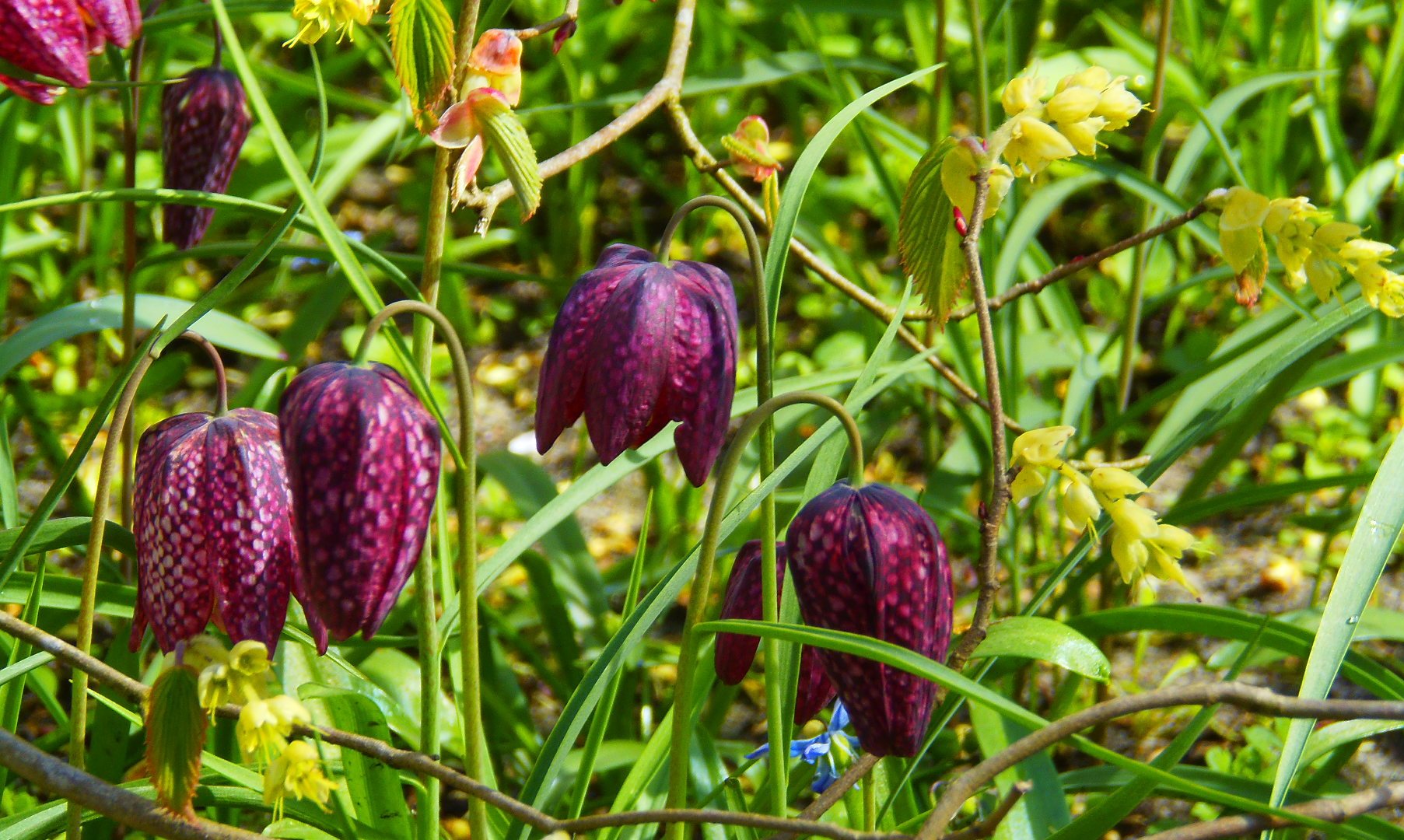 p4164330.JPG