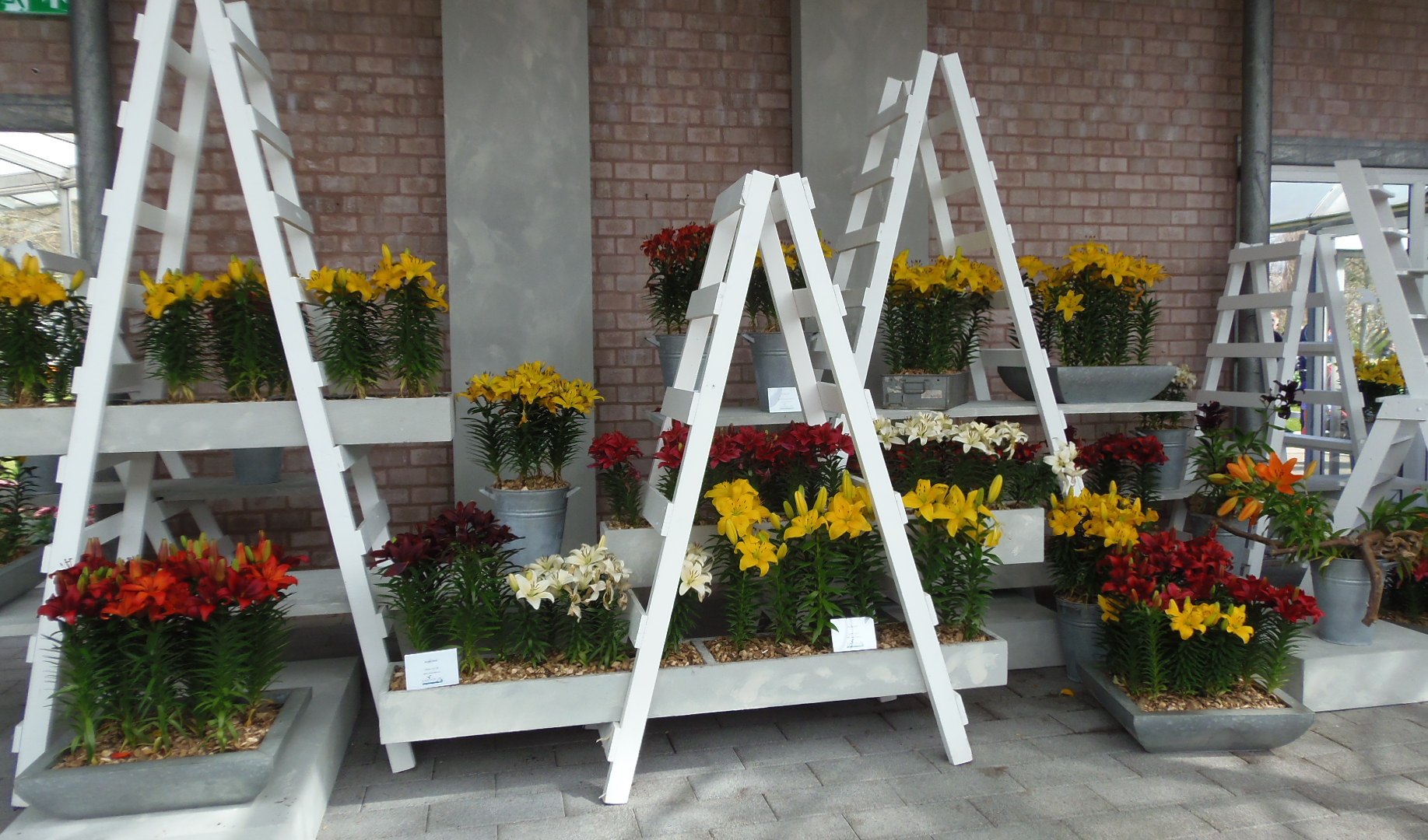 p4164578.JPG