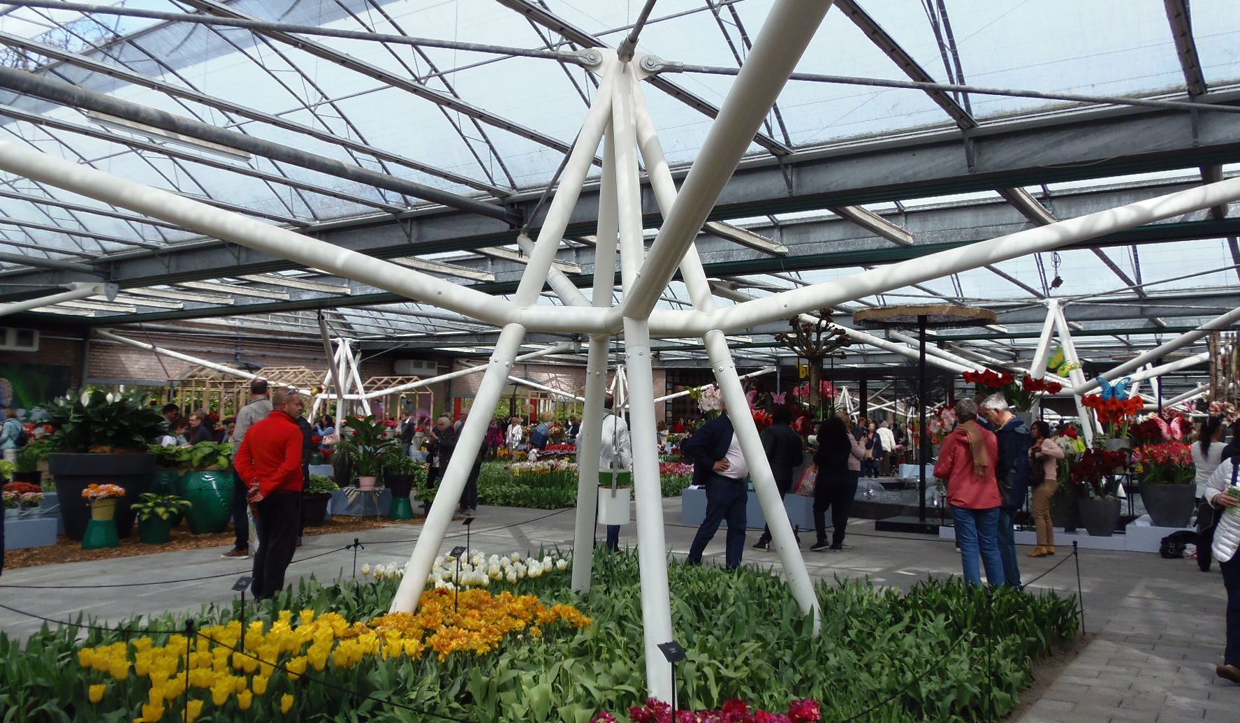 p4164631.JPG