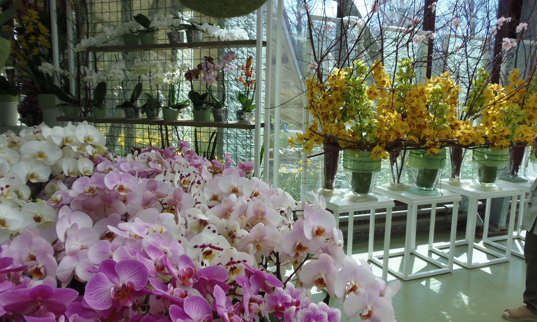 p4164692.JPG