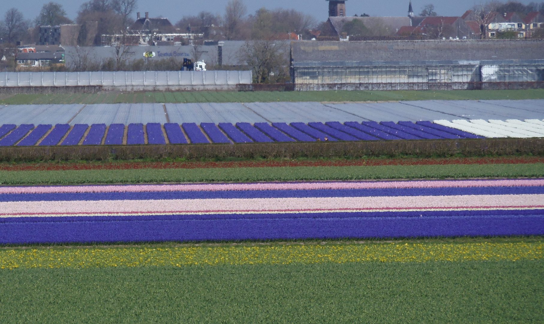 p4164895.JPG