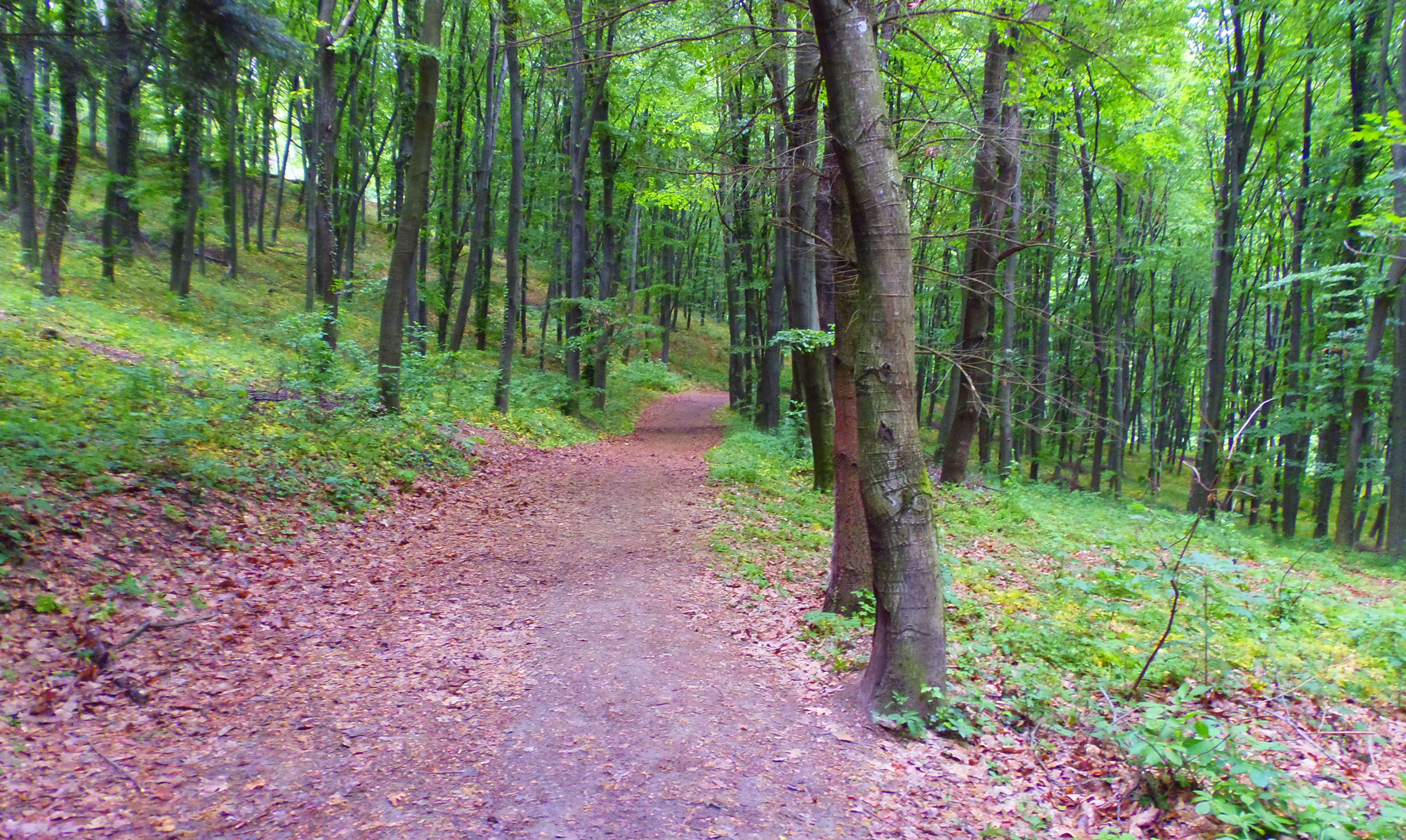 p5070126.JPG