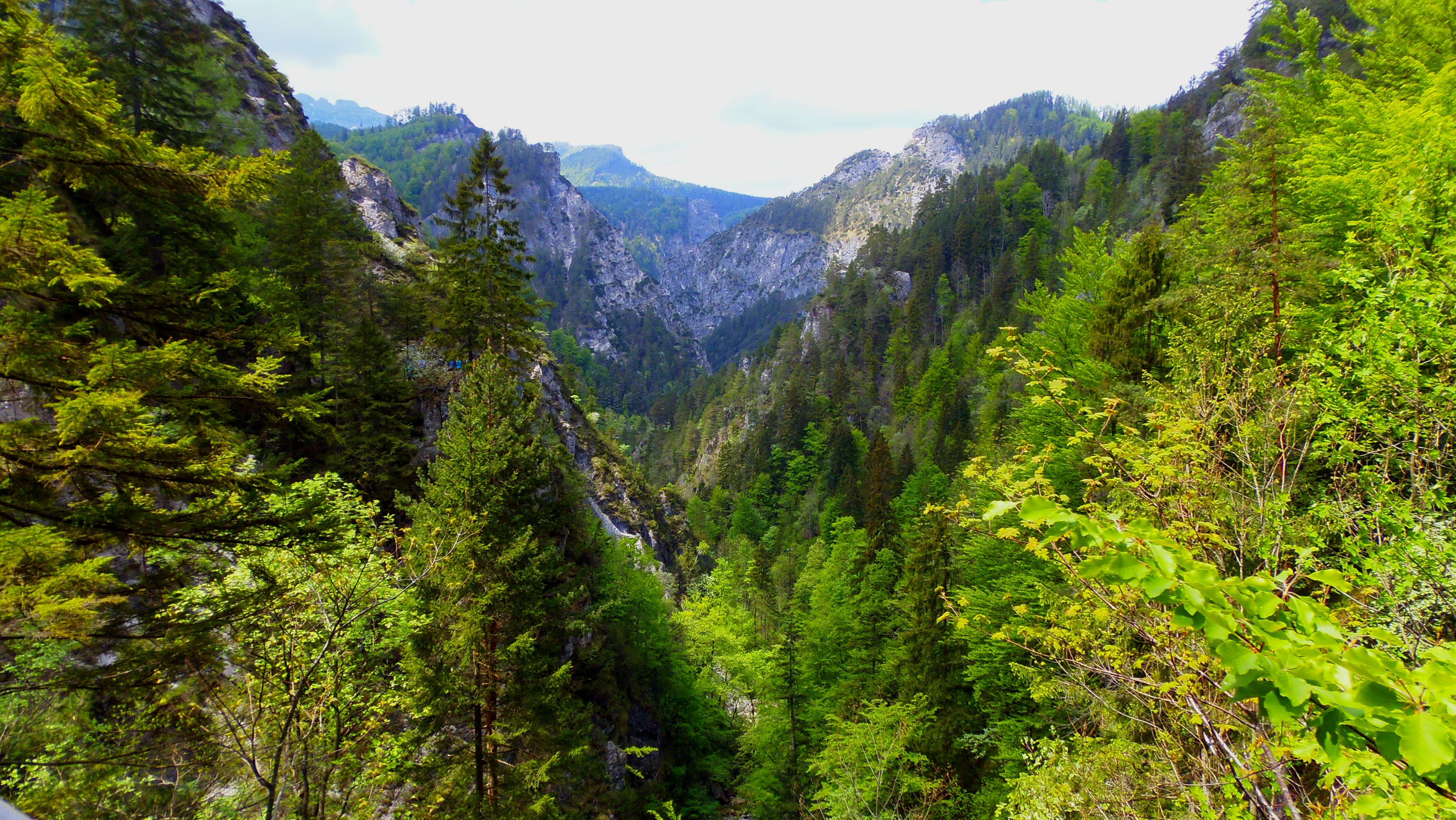 p5162416.JPG