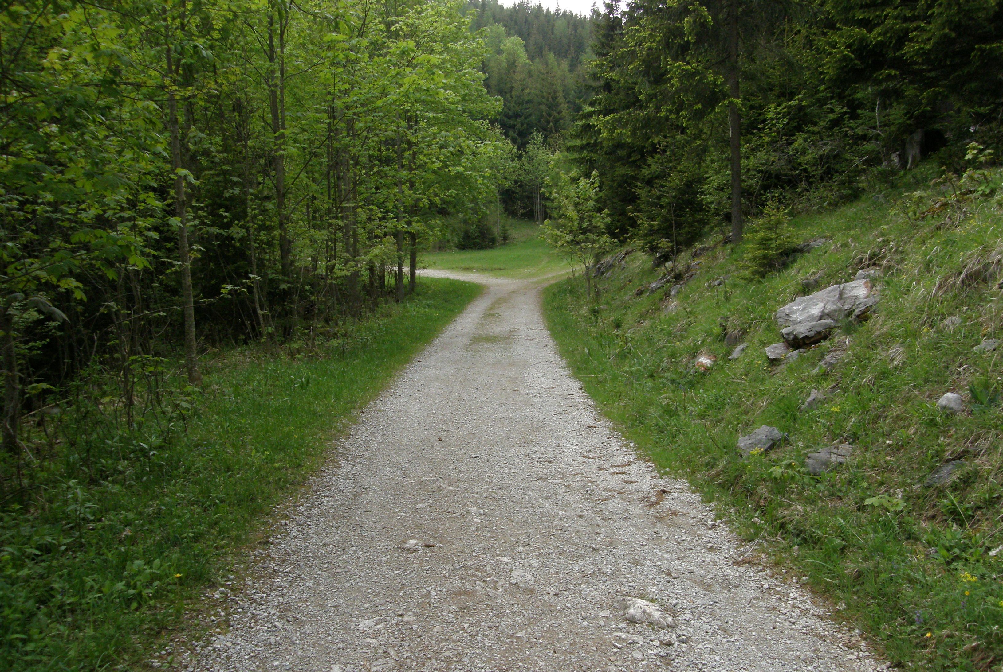 p5210311.JPG