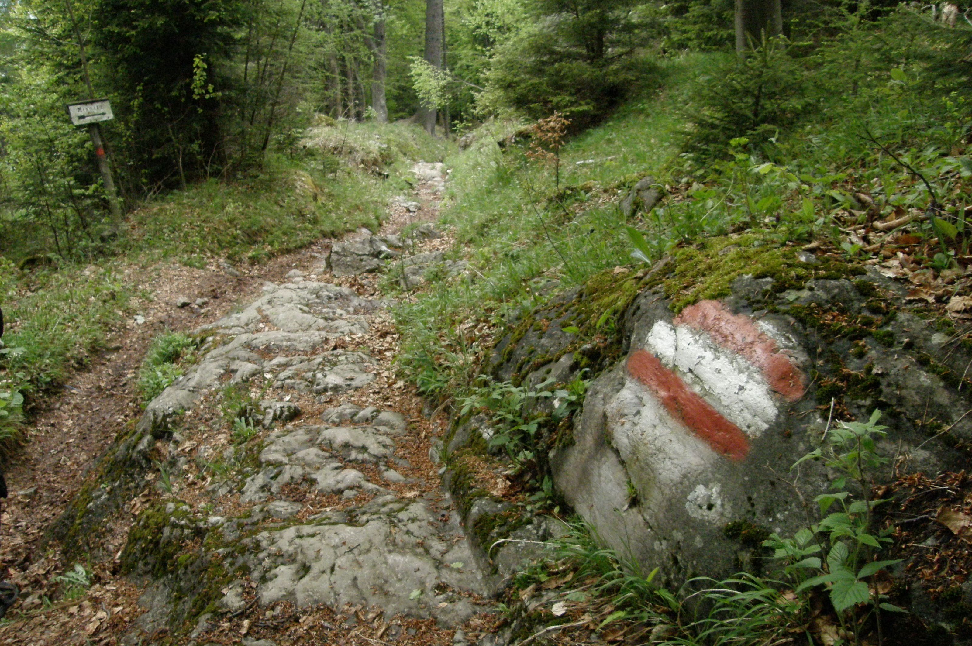 p5210315.JPG