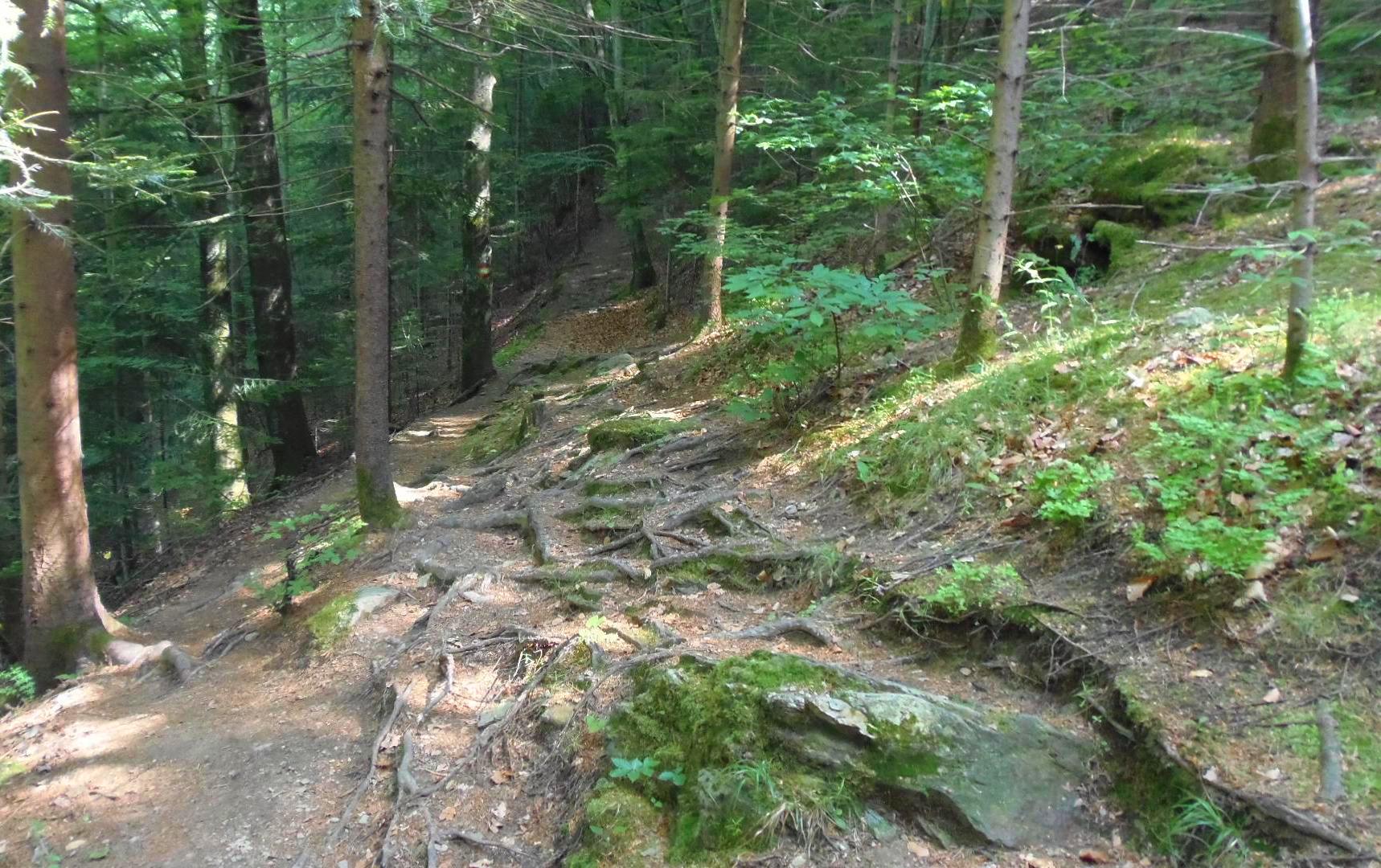 p5293887.JPG