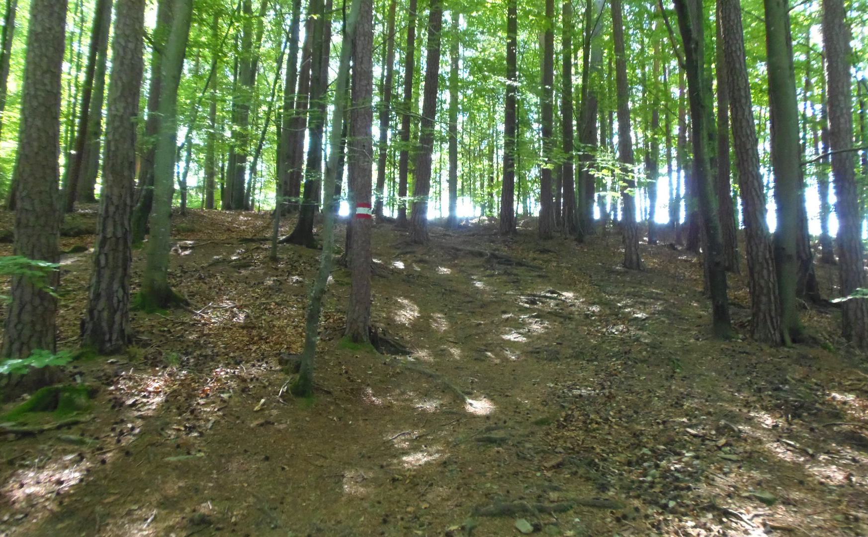 p5293892.JPG