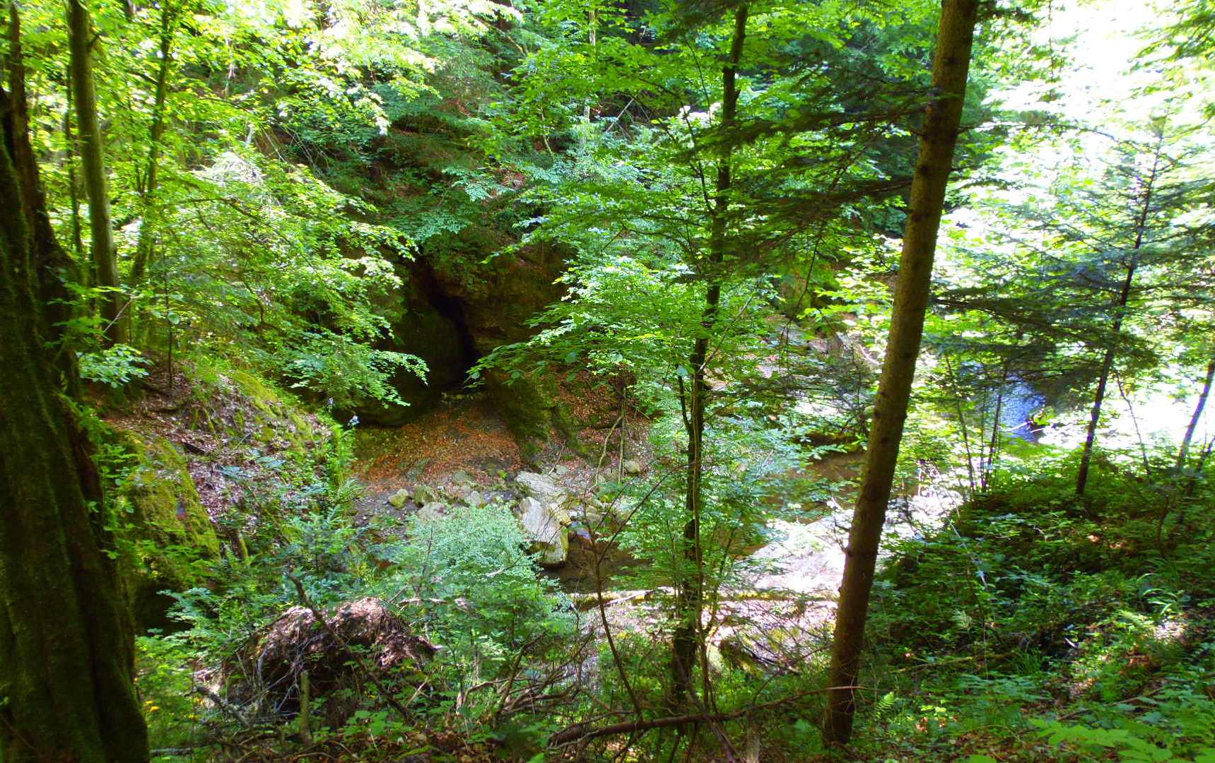 p5293913.JPG