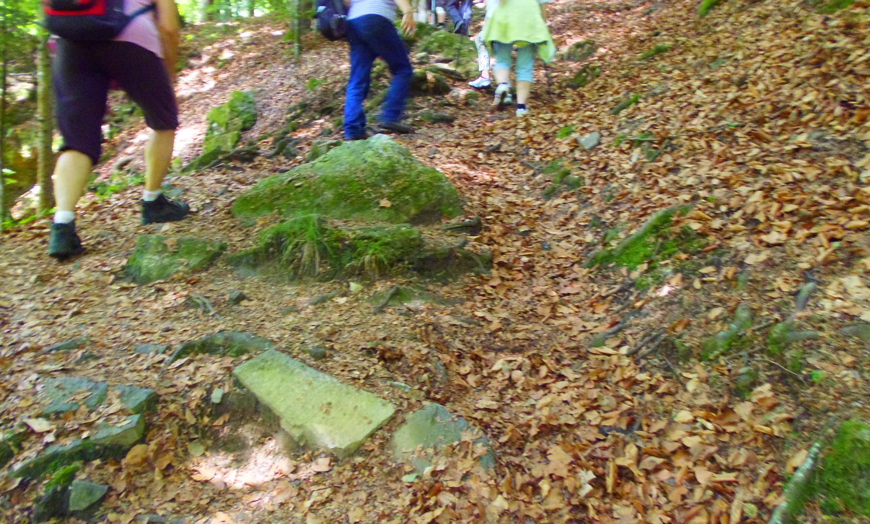 p5293944.JPG