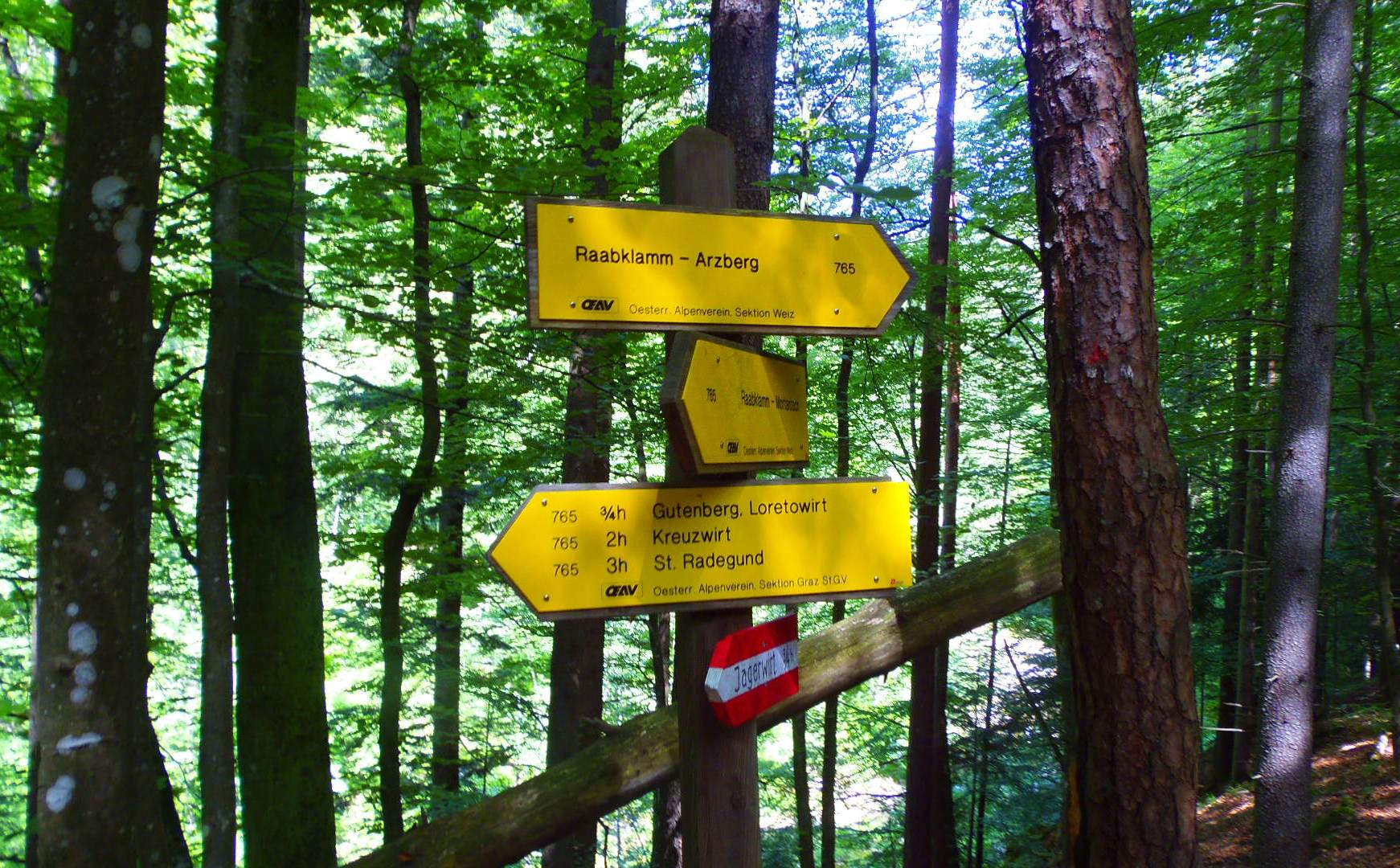 p5293949.JPG
