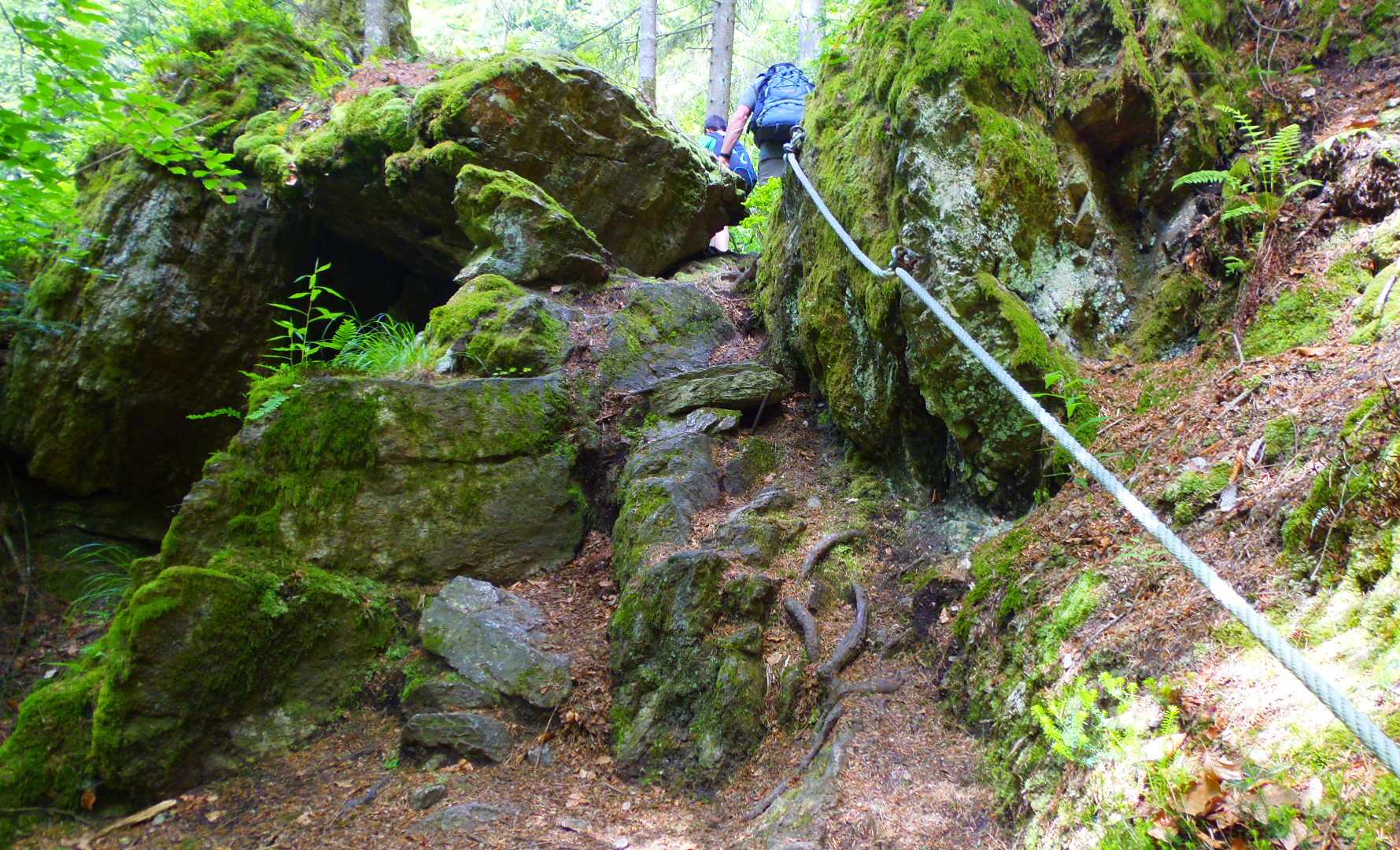 p5293995.JPG