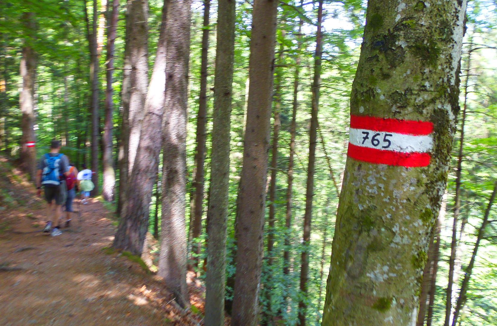 p5294099.JPG