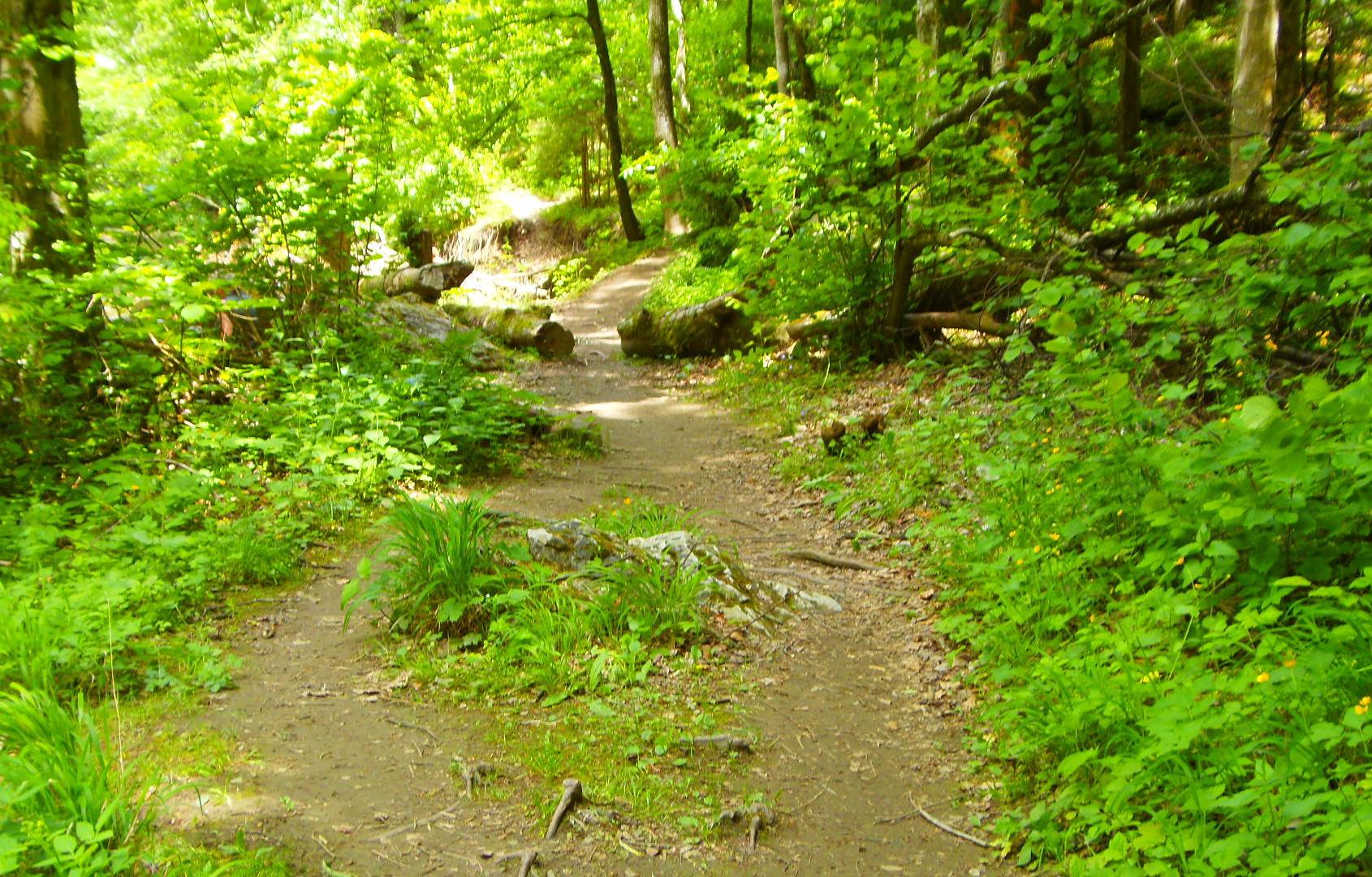 p5294161.JPG