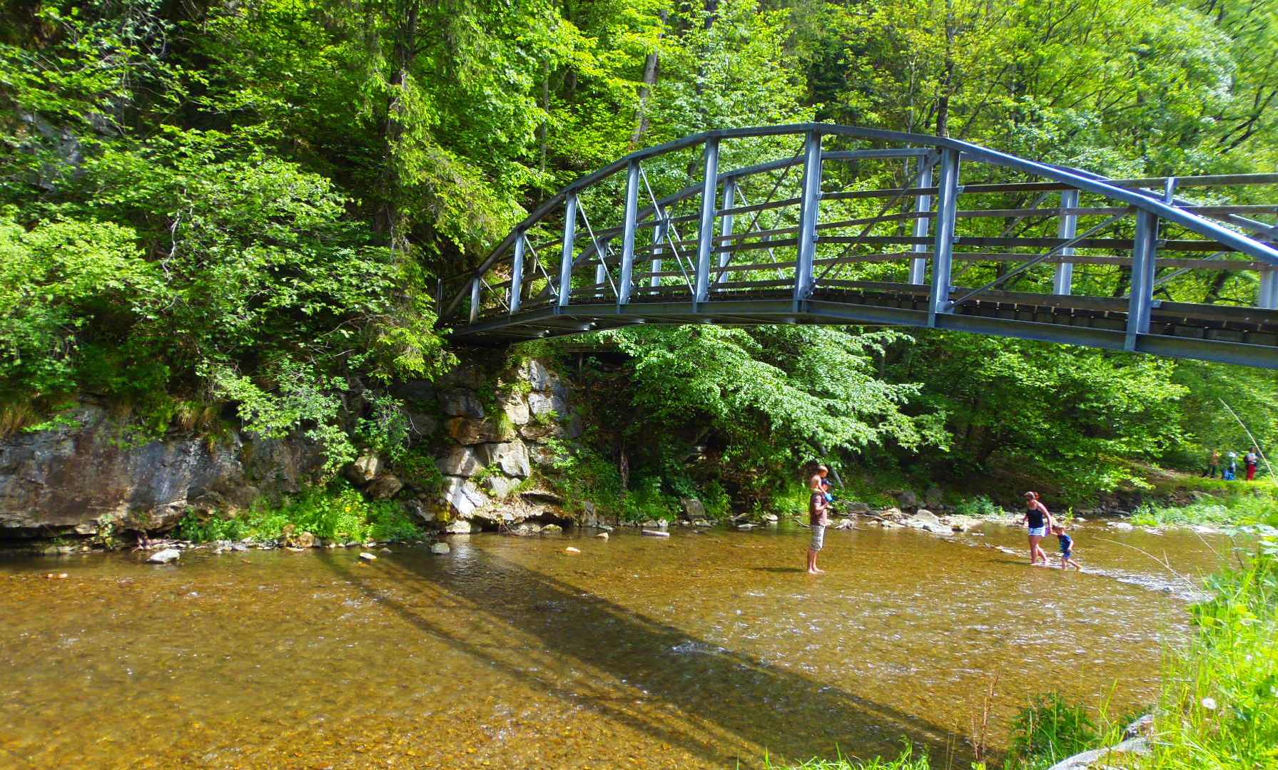 p5294293.JPG