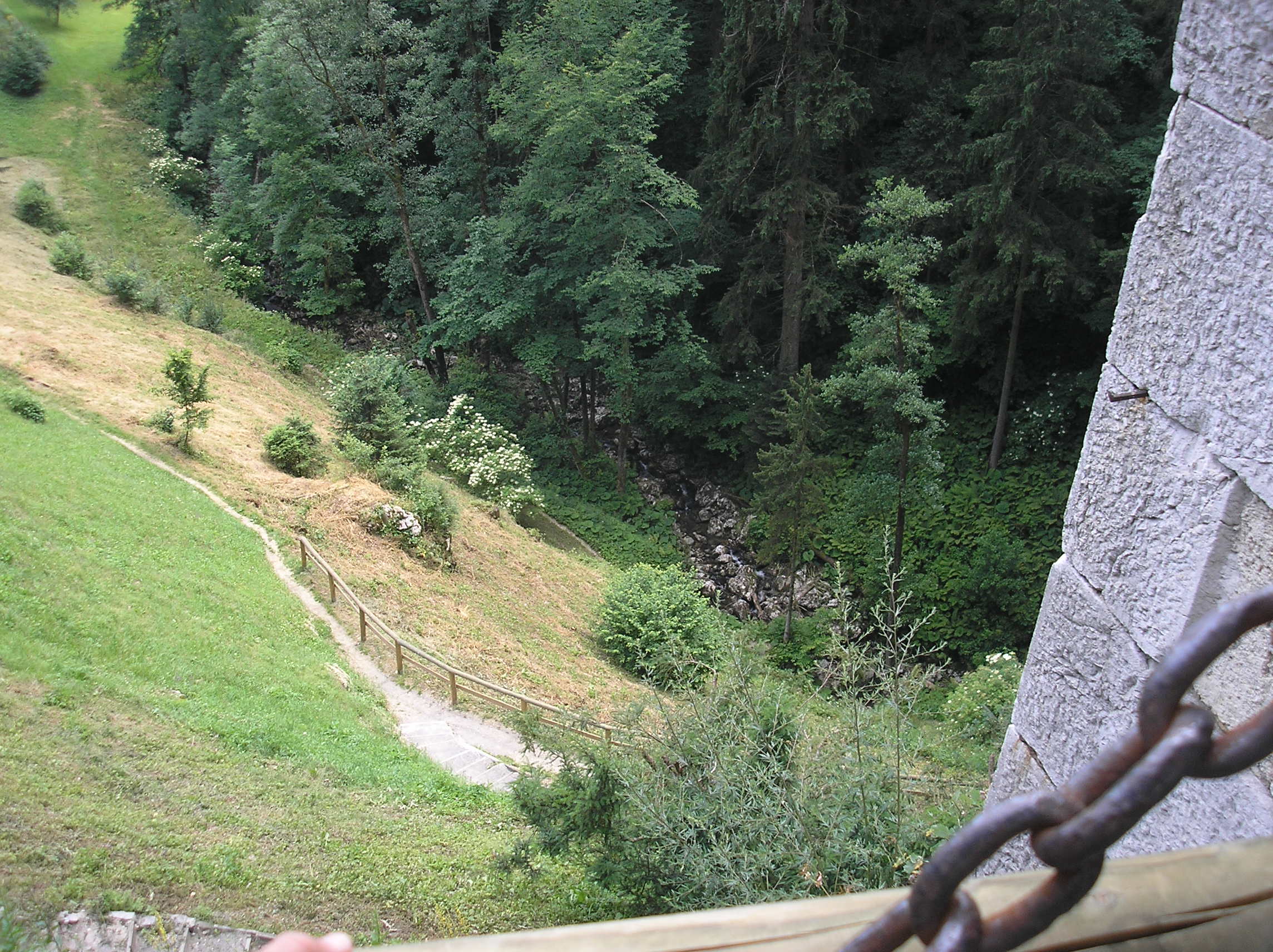 p6272086.JPG