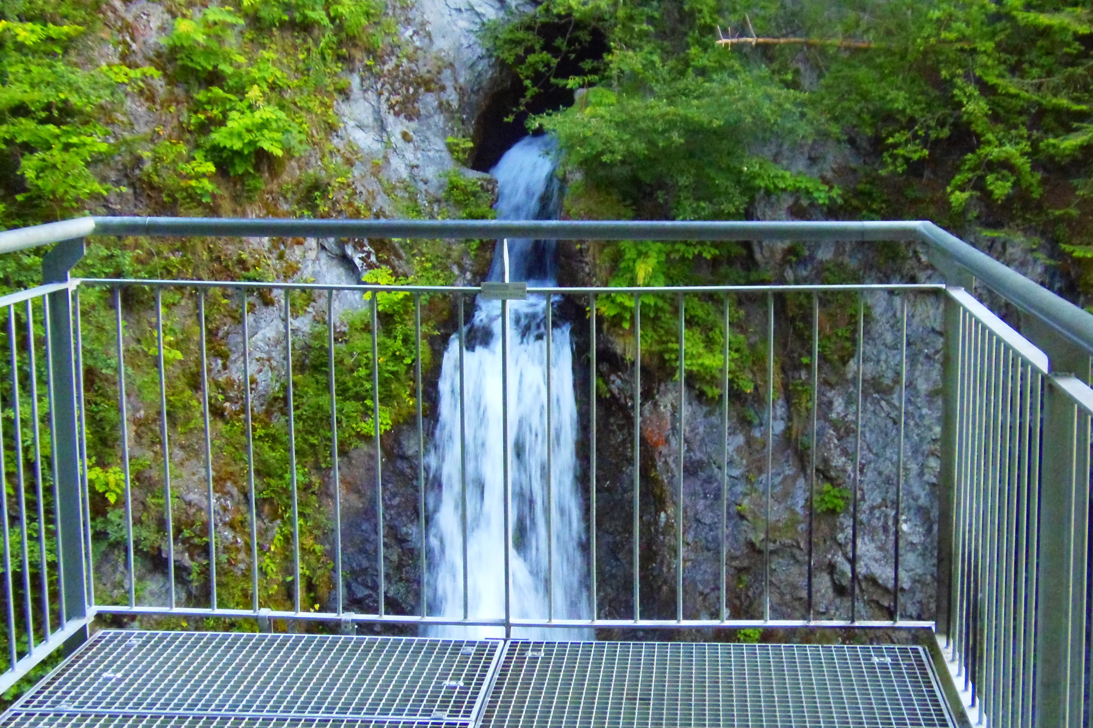 p7196855.JPG