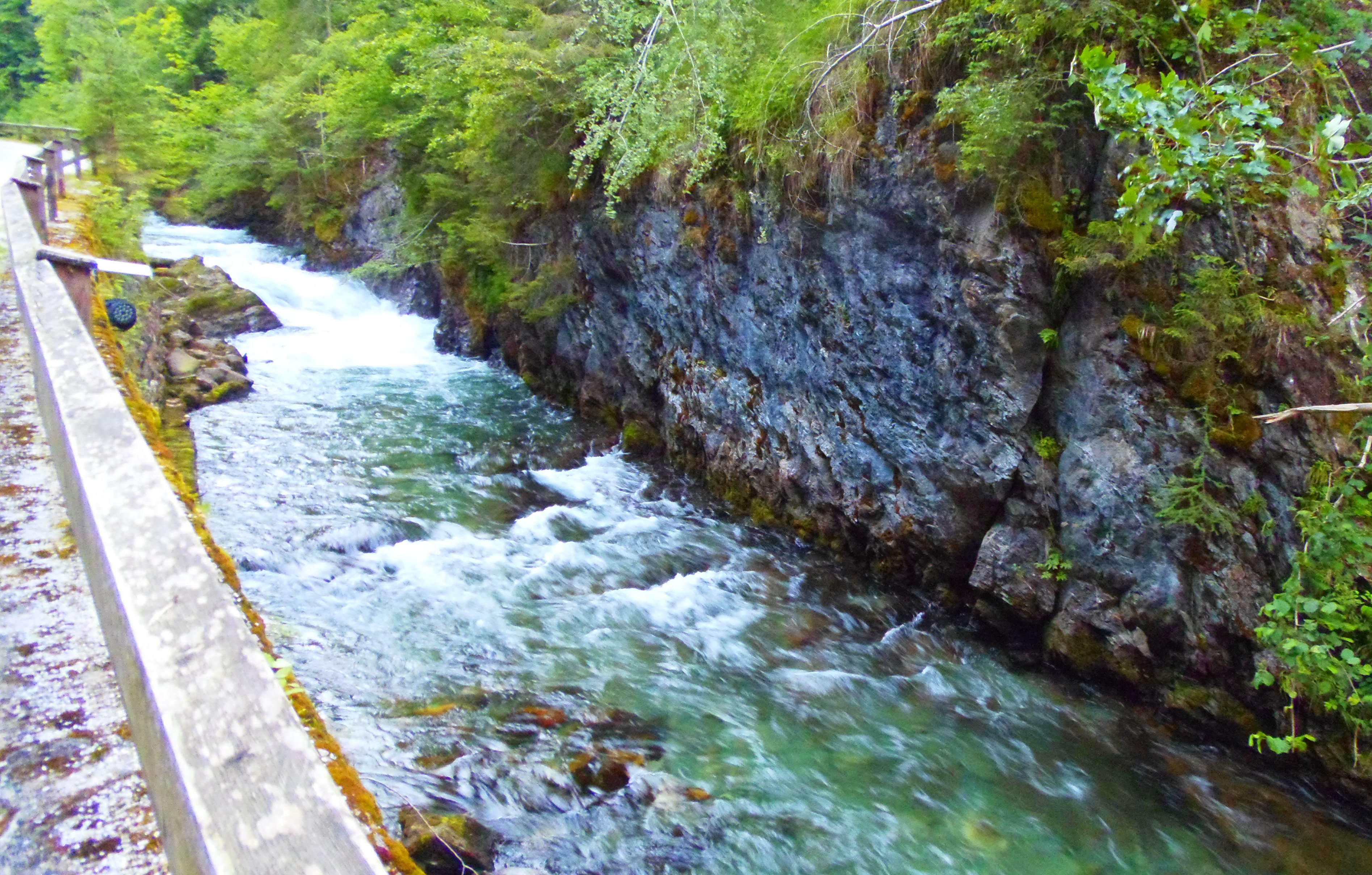 p7196872.JPG