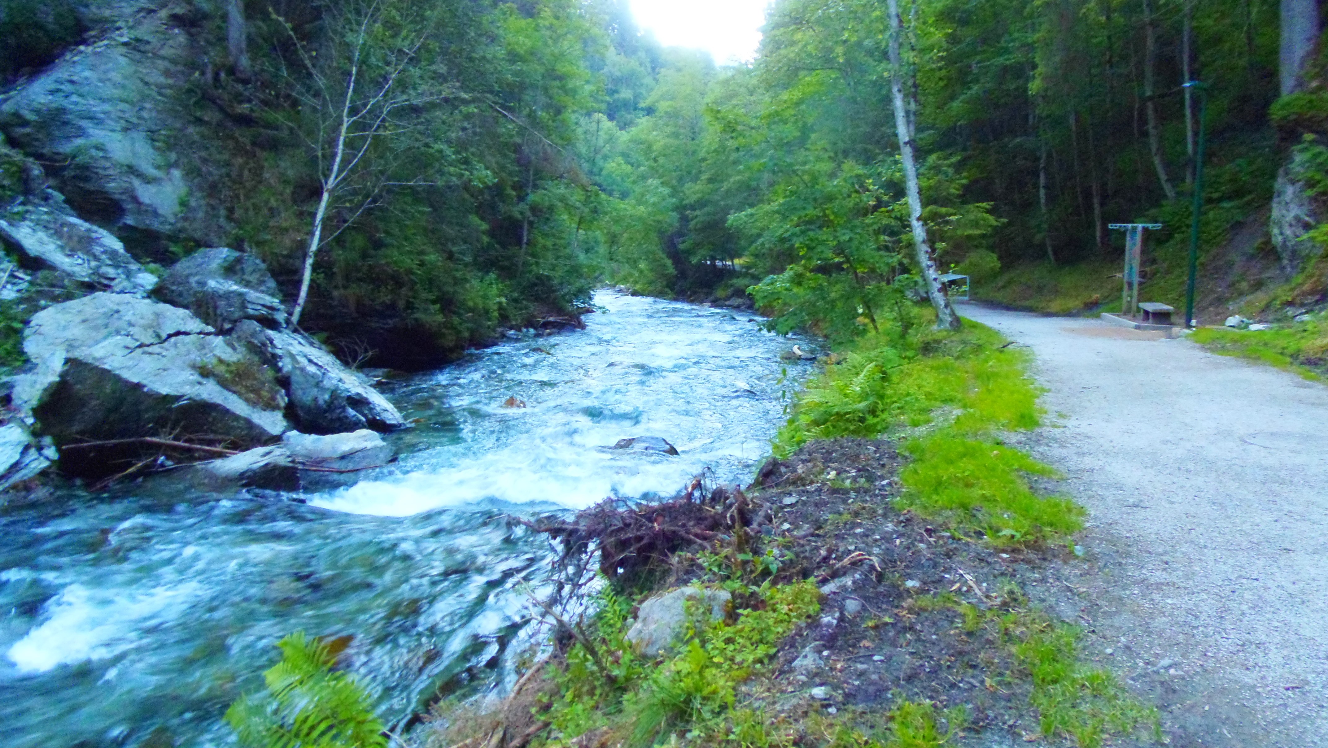 p7196889.JPG