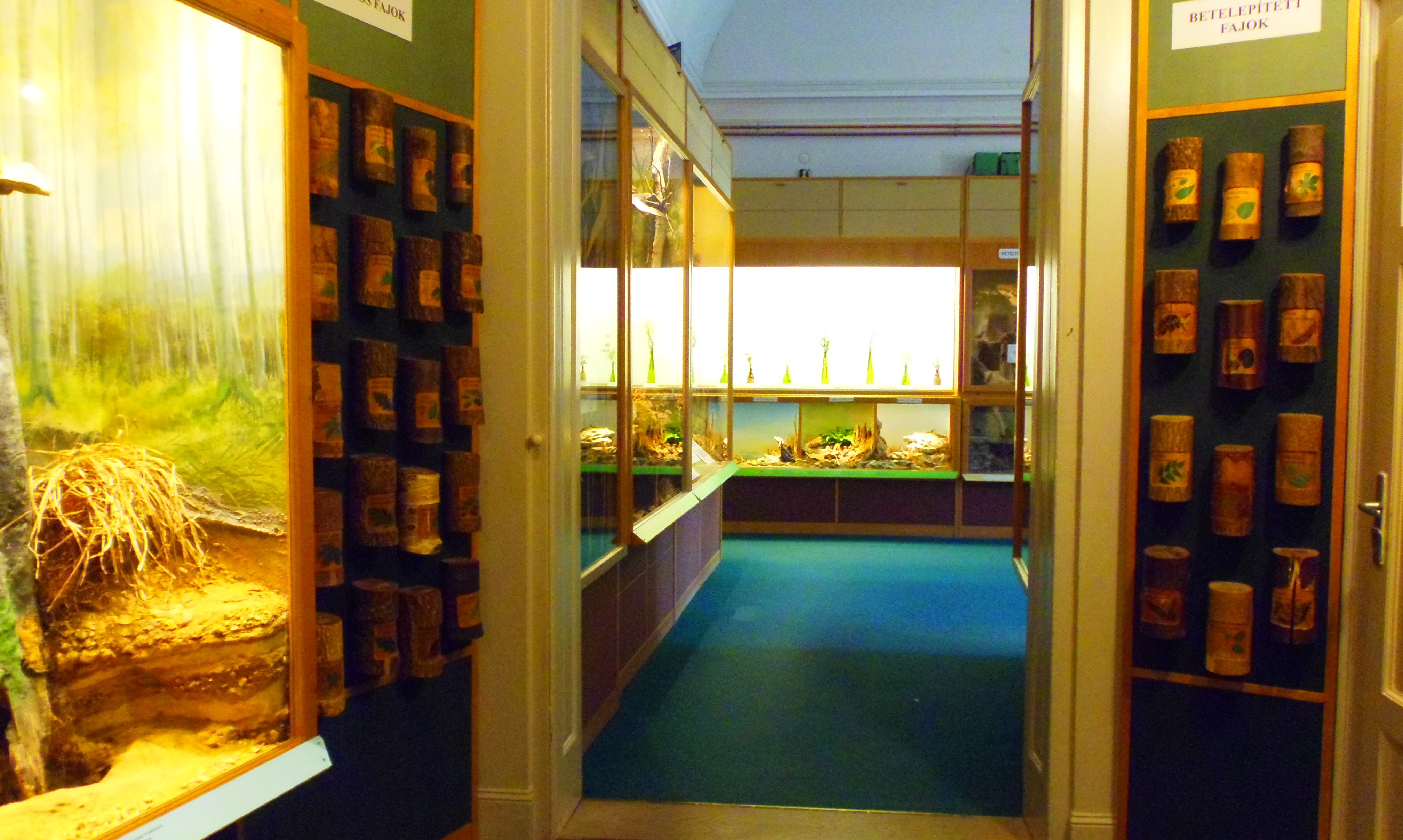 p7201808.JPG