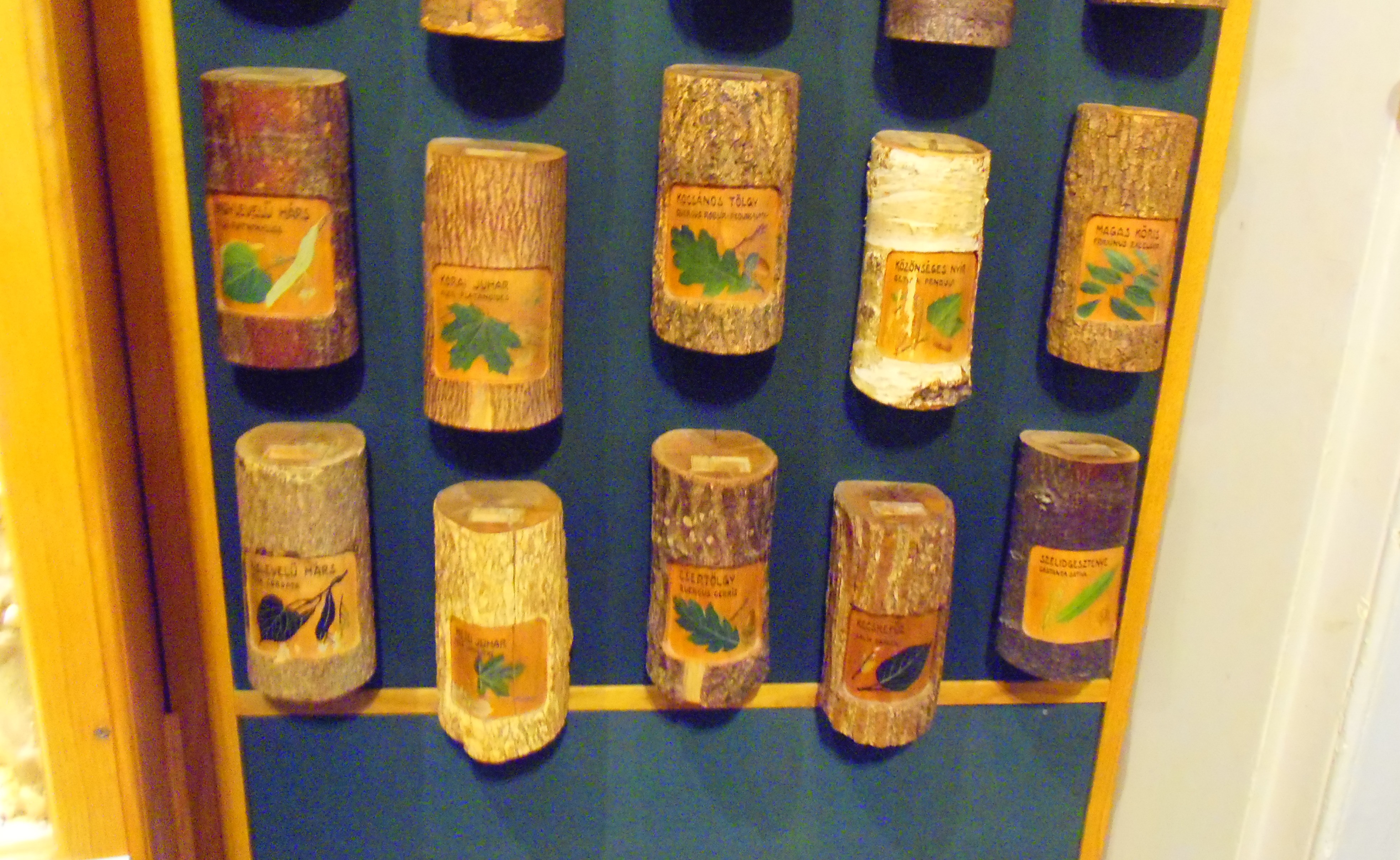 p7201816.JPG