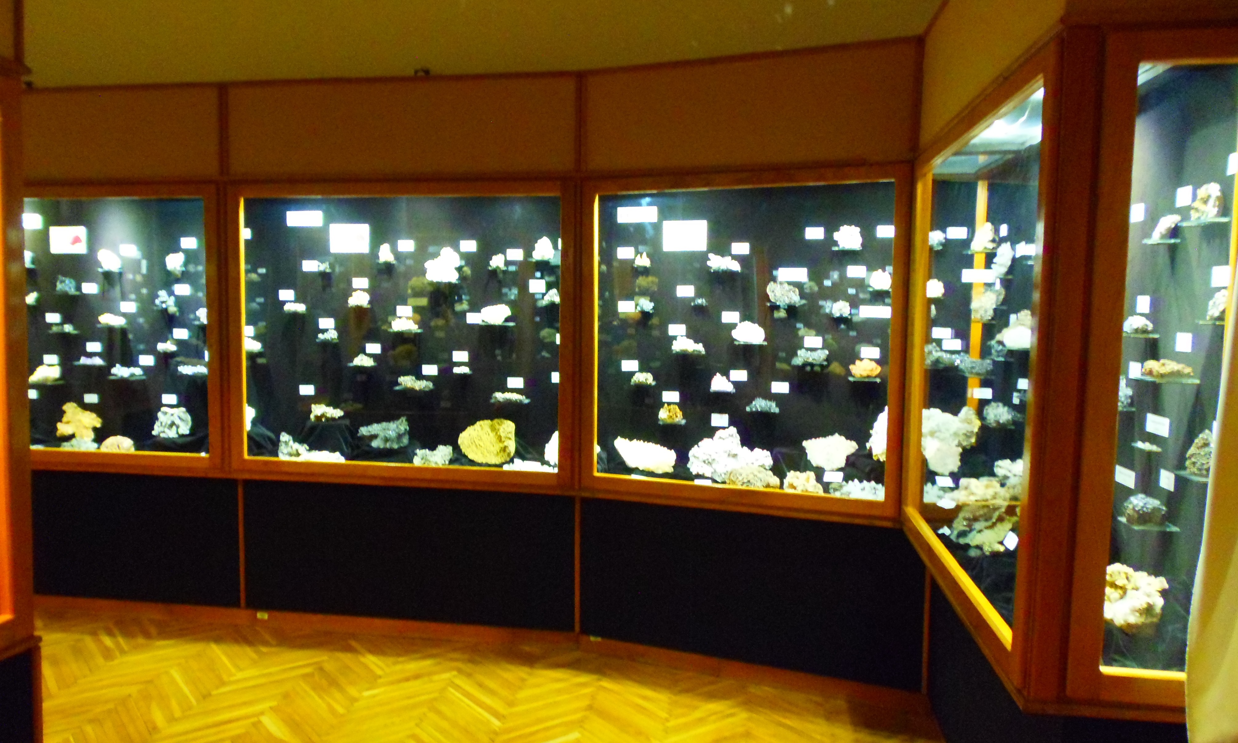 p7201897.JPG