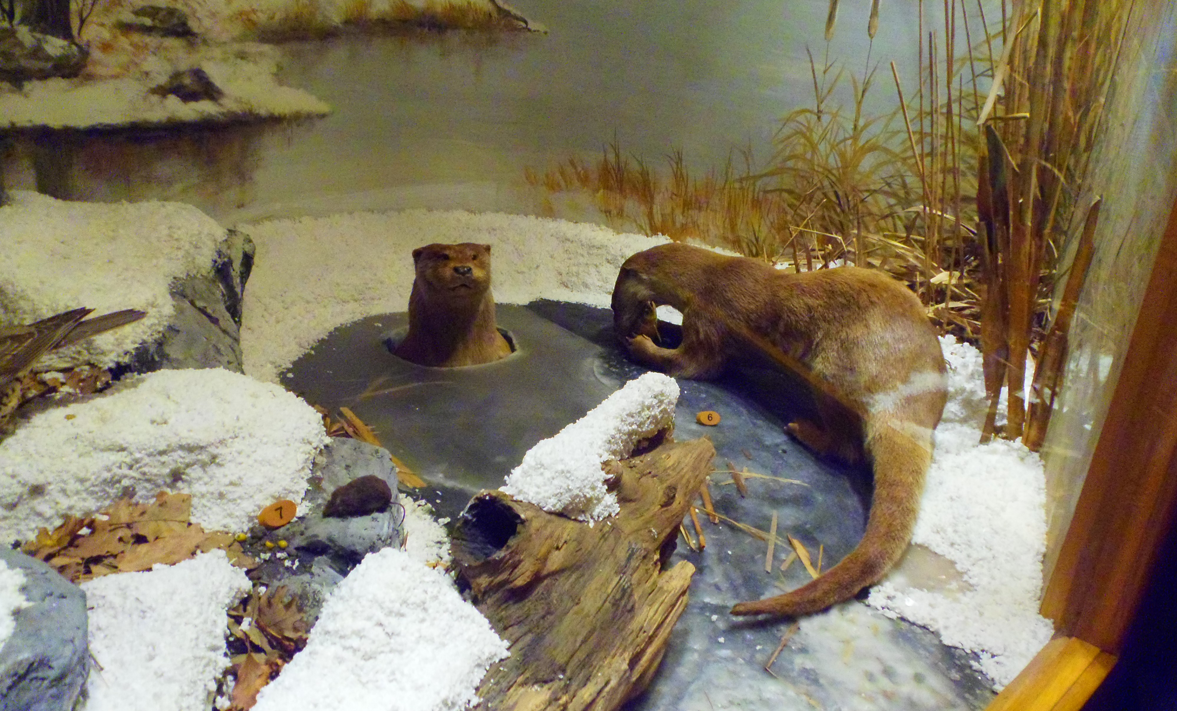 p7201915.JPG