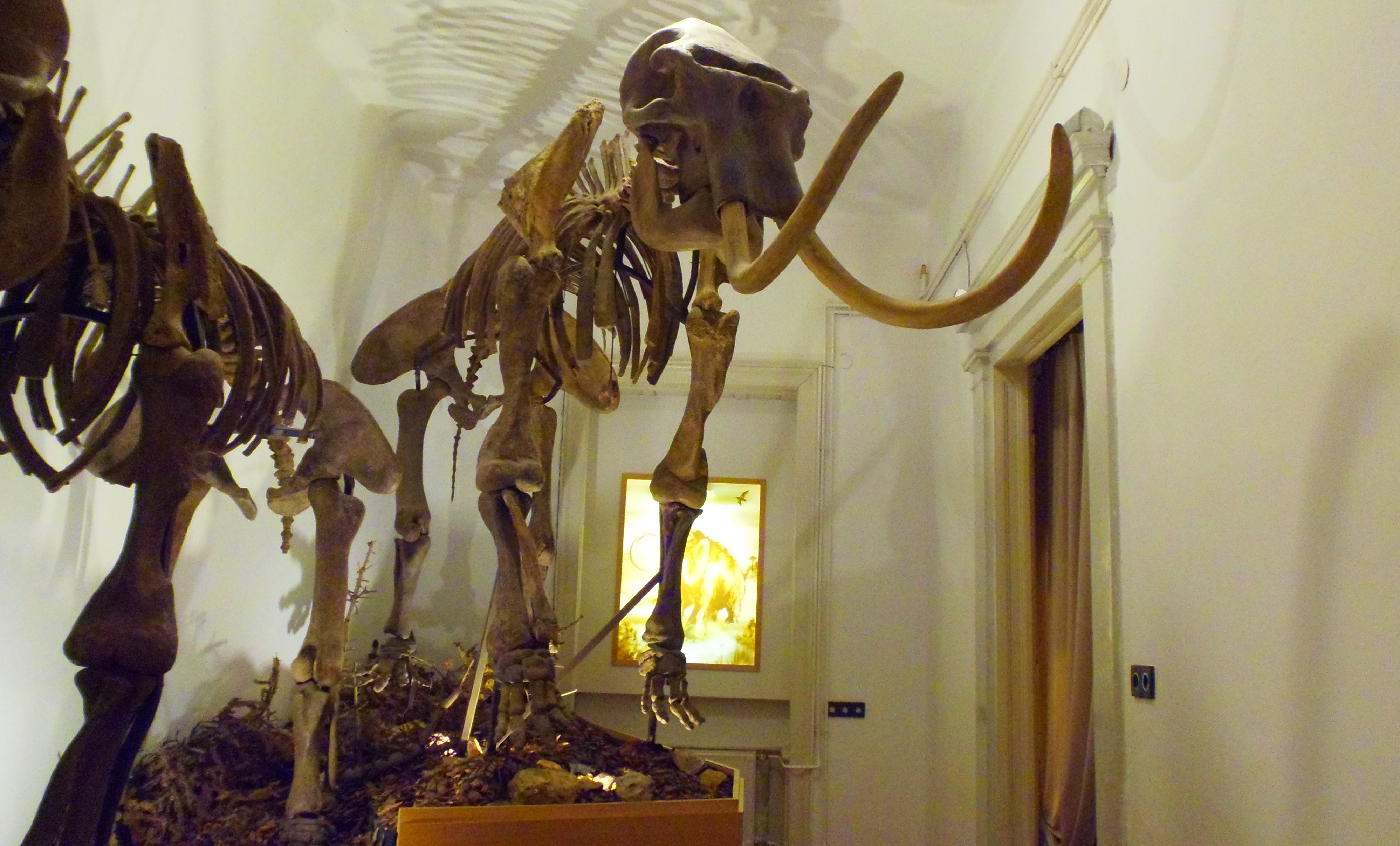 p7201921.JPG