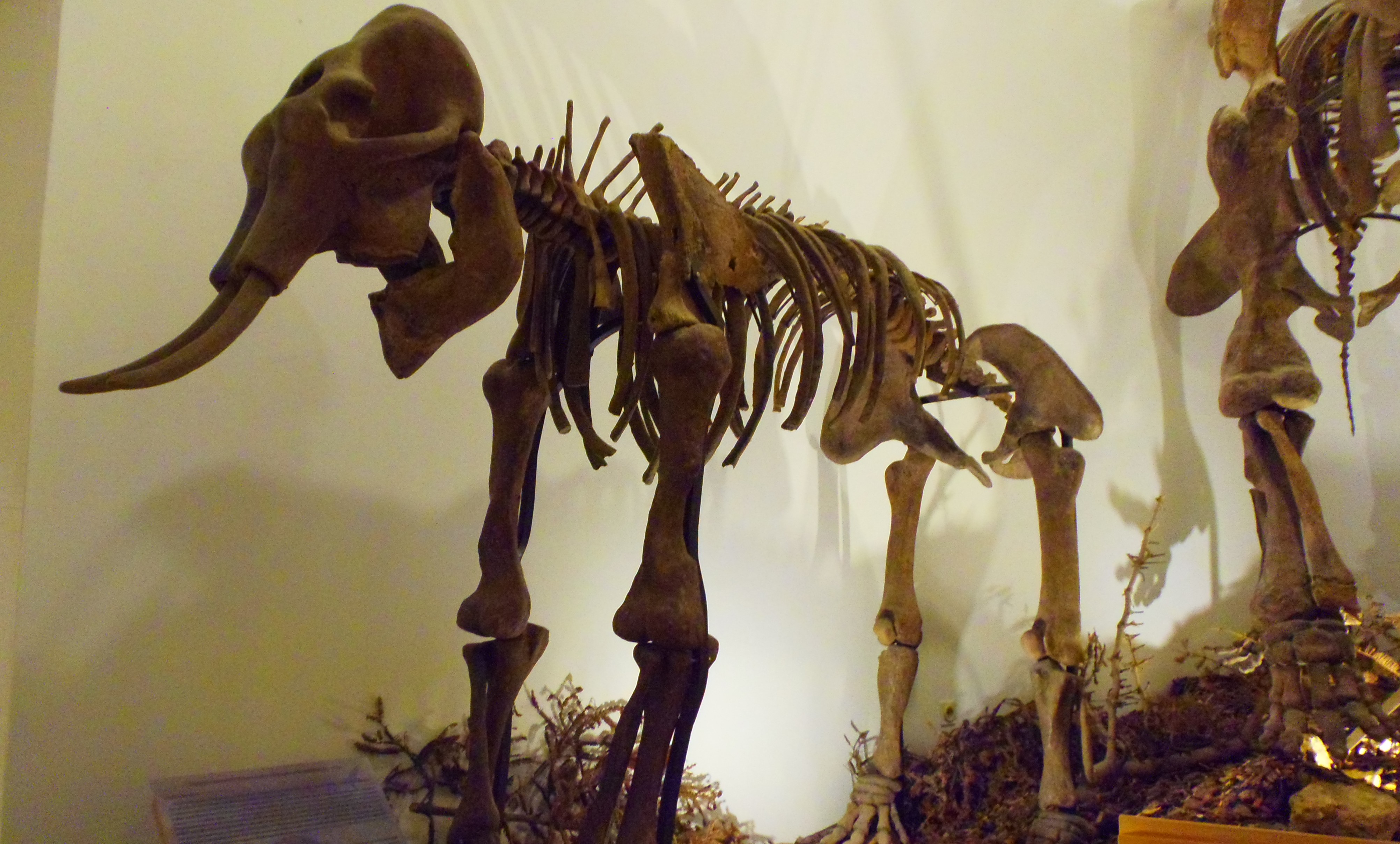 p7201922.JPG