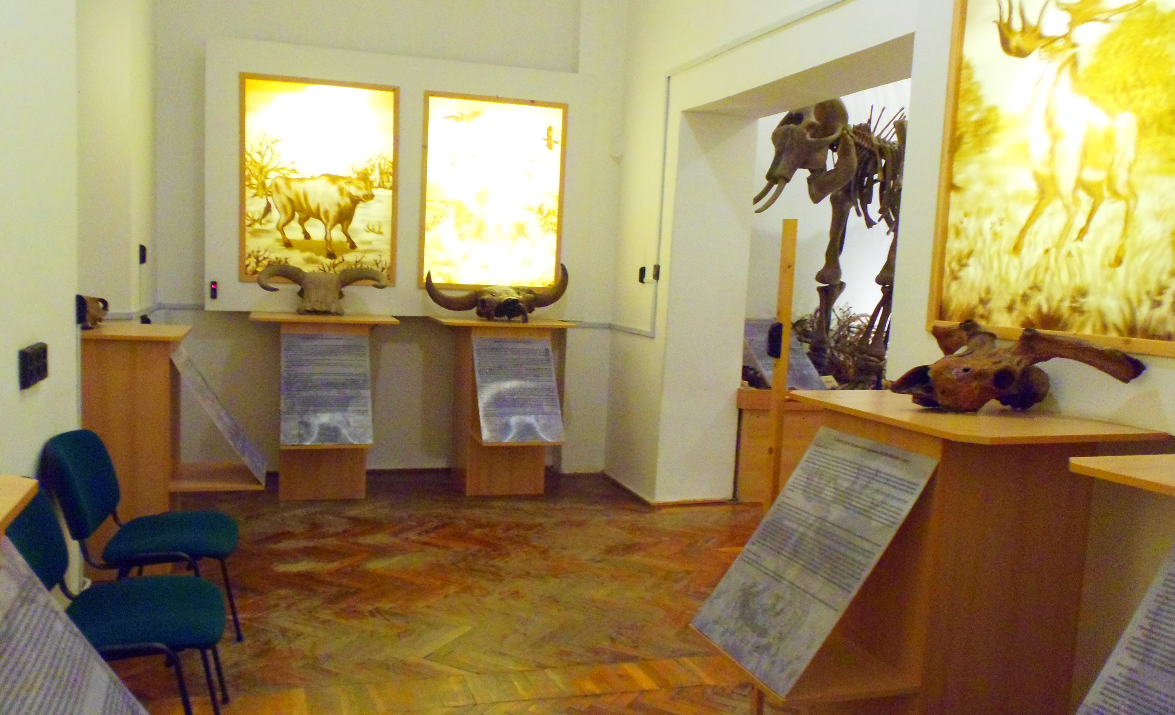 p7201933.JPG