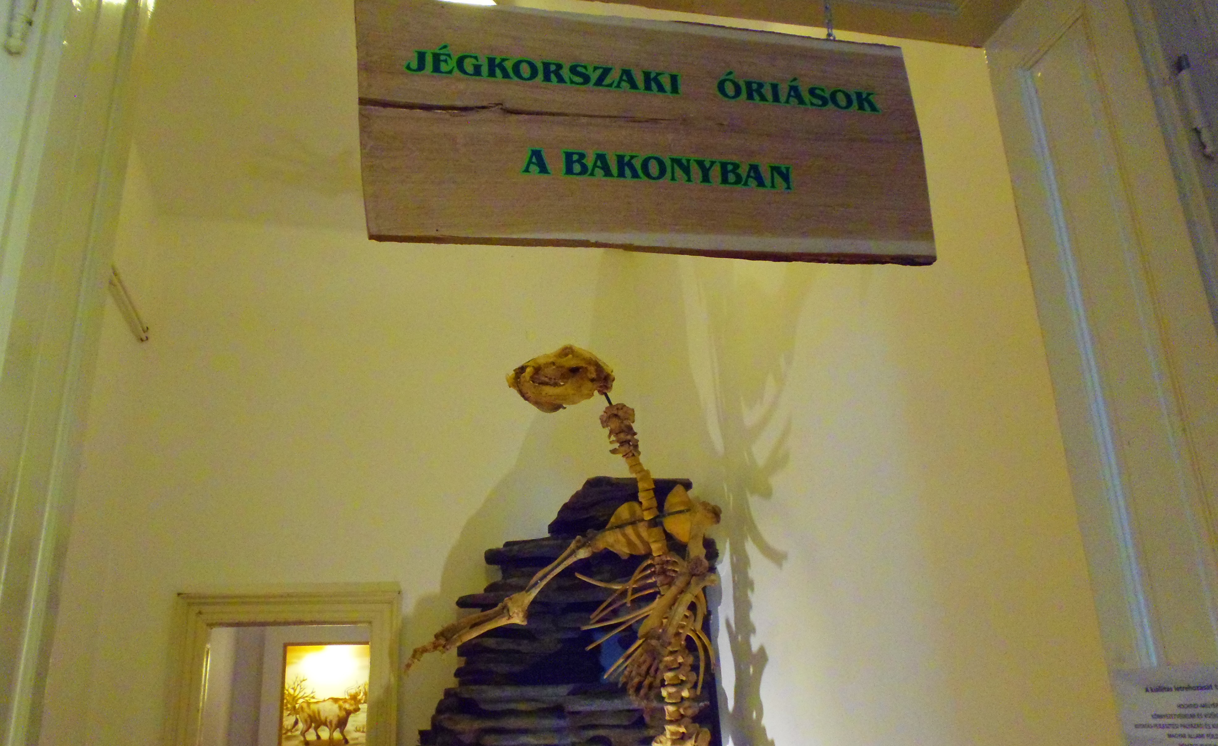 p7201938.JPG