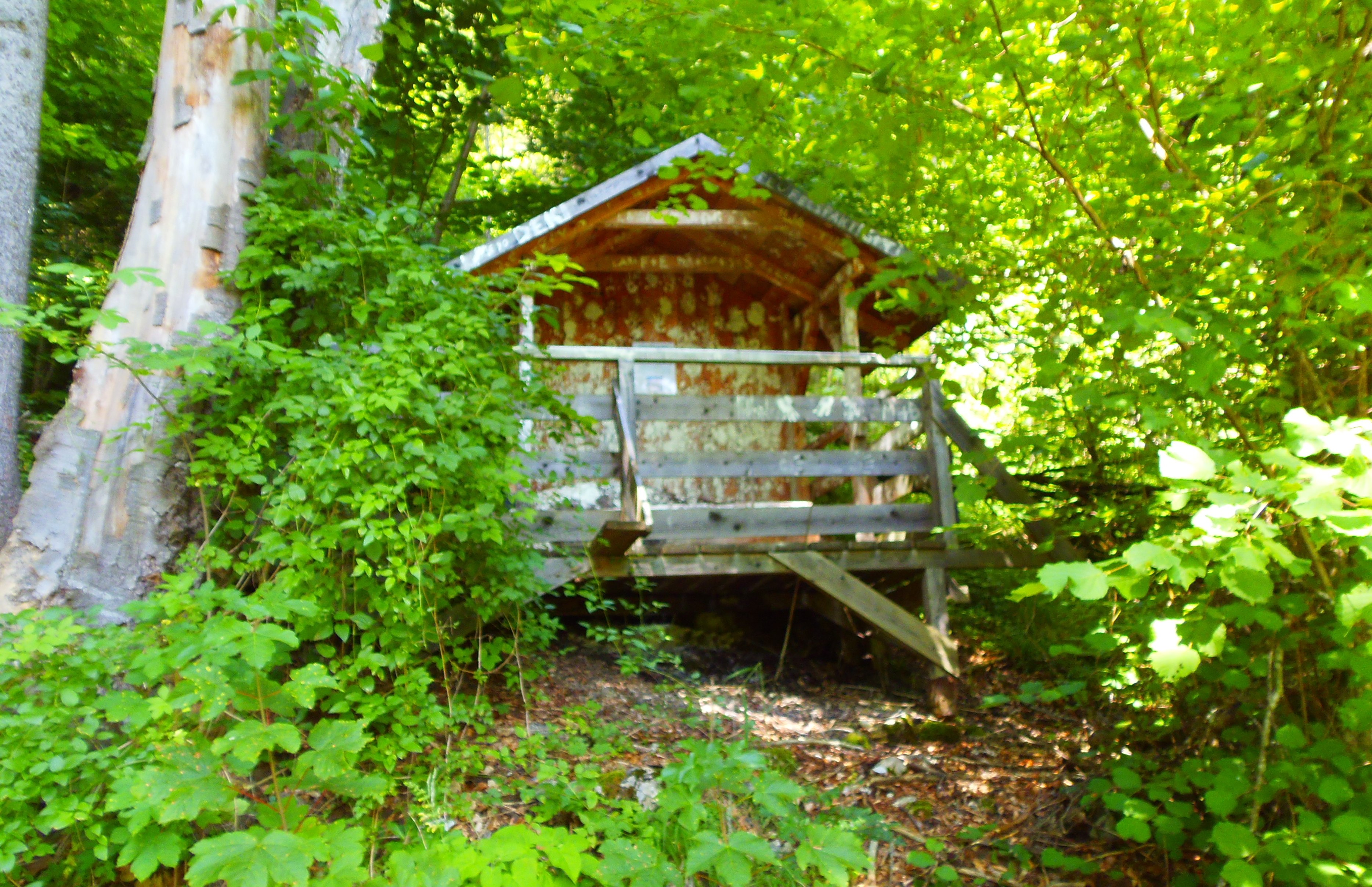 p7207184.JPG