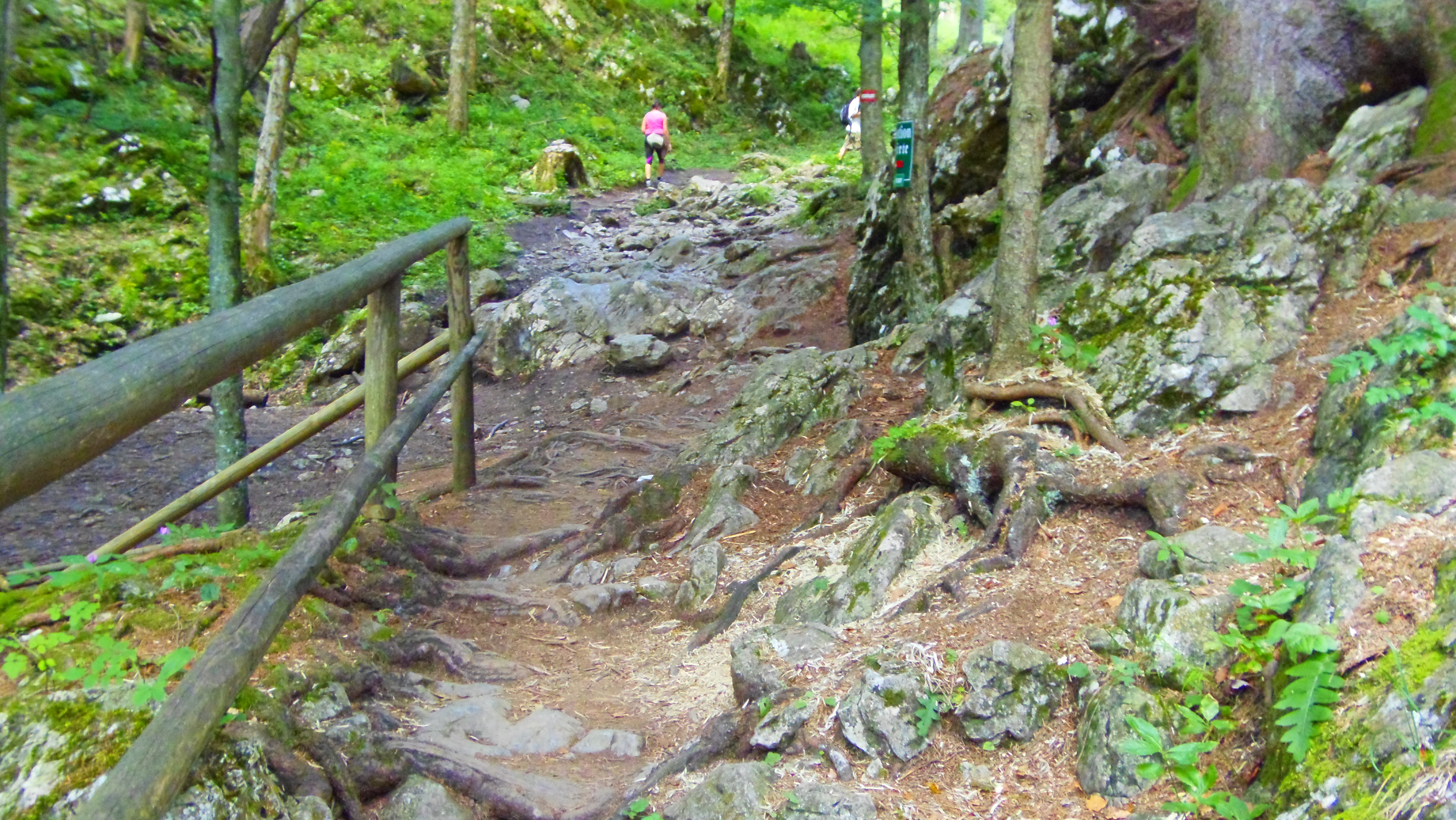 p8097441.JPG