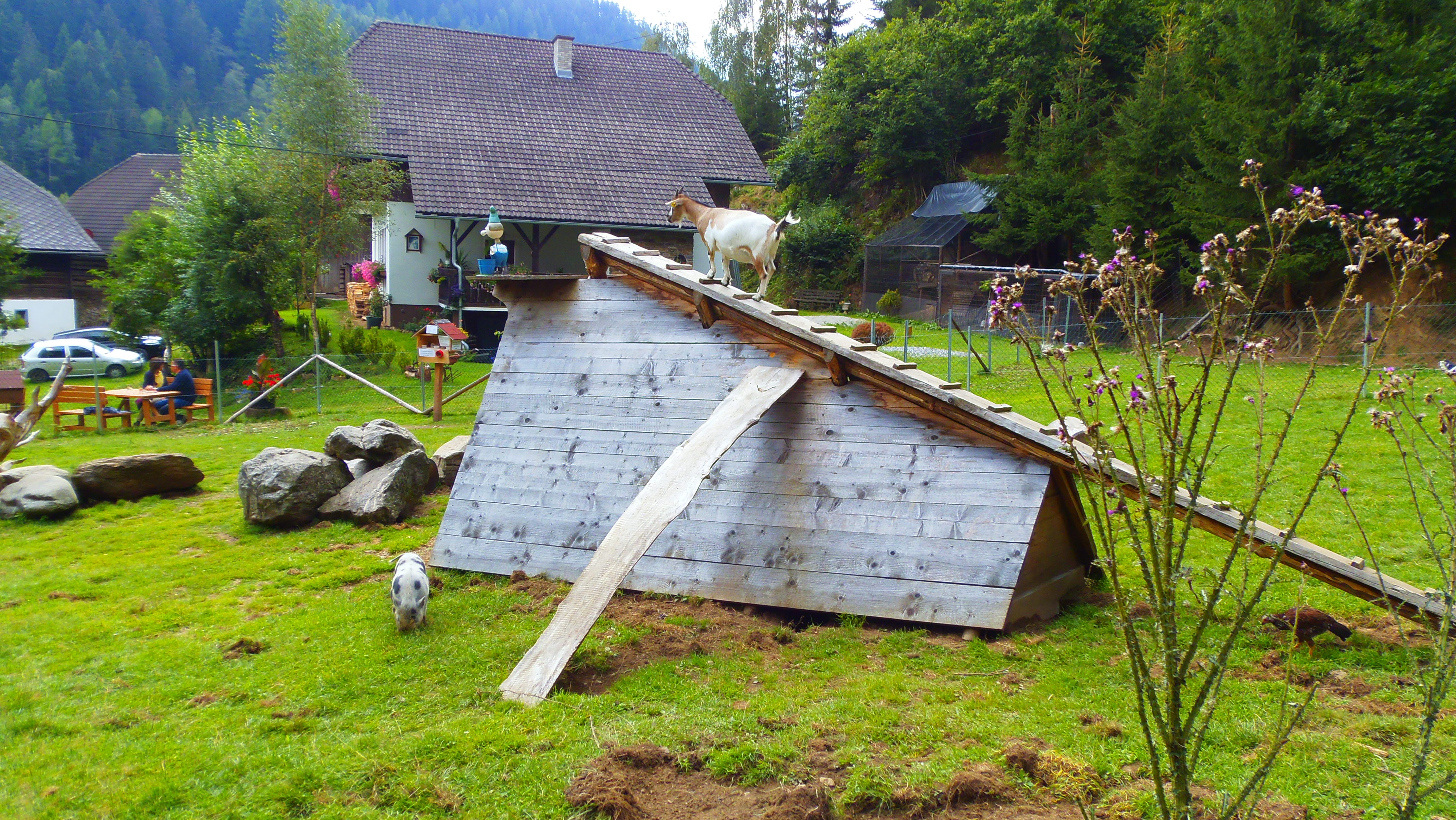p8230583.JPG