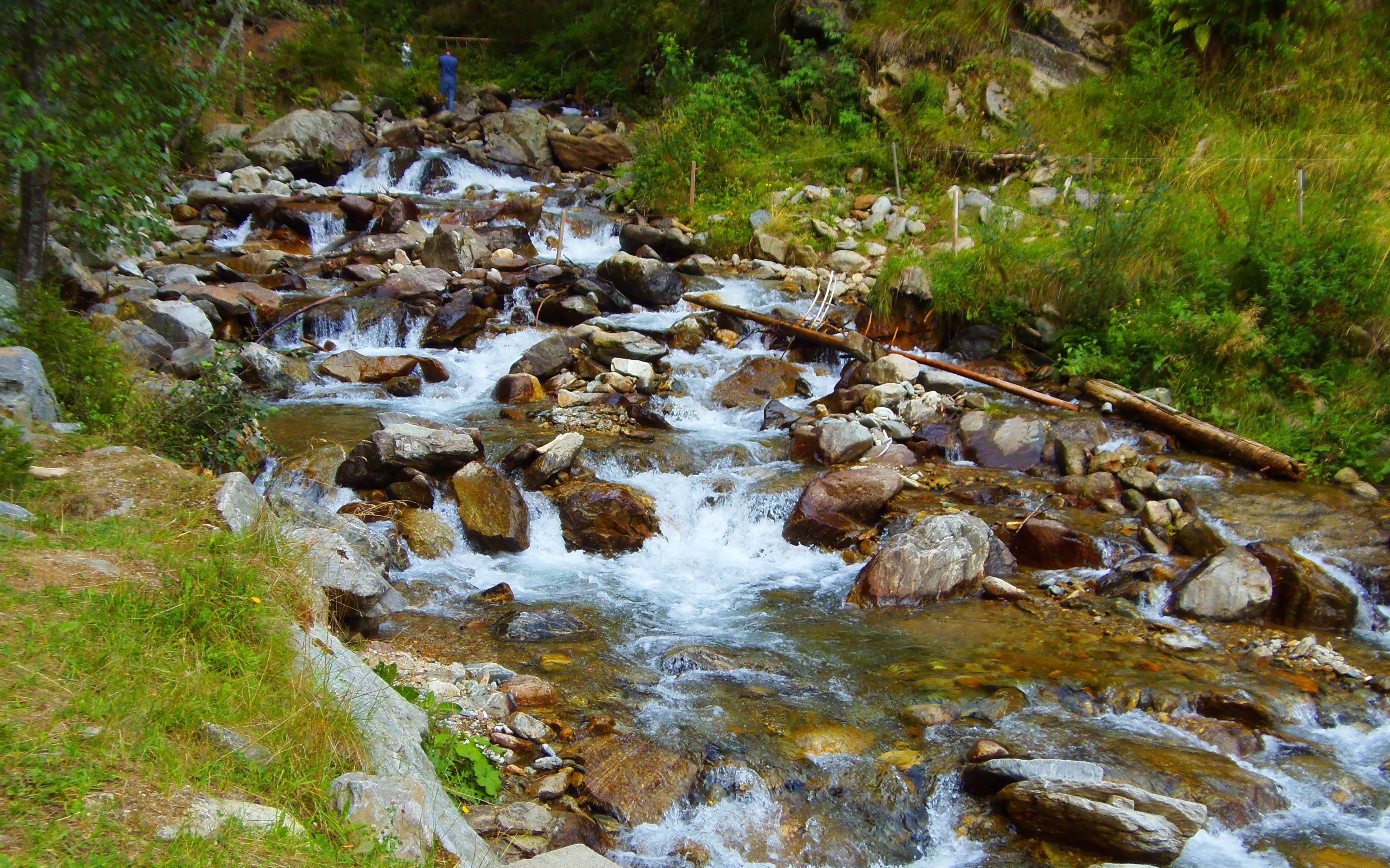 p8230586.JPG