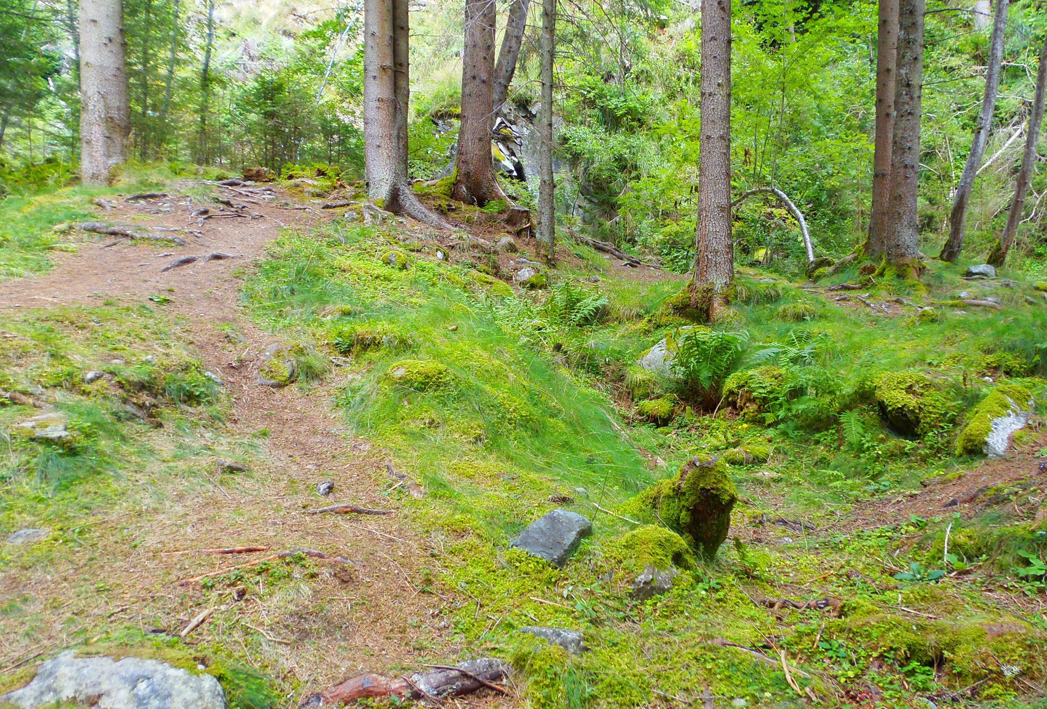 p8230590.JPG
