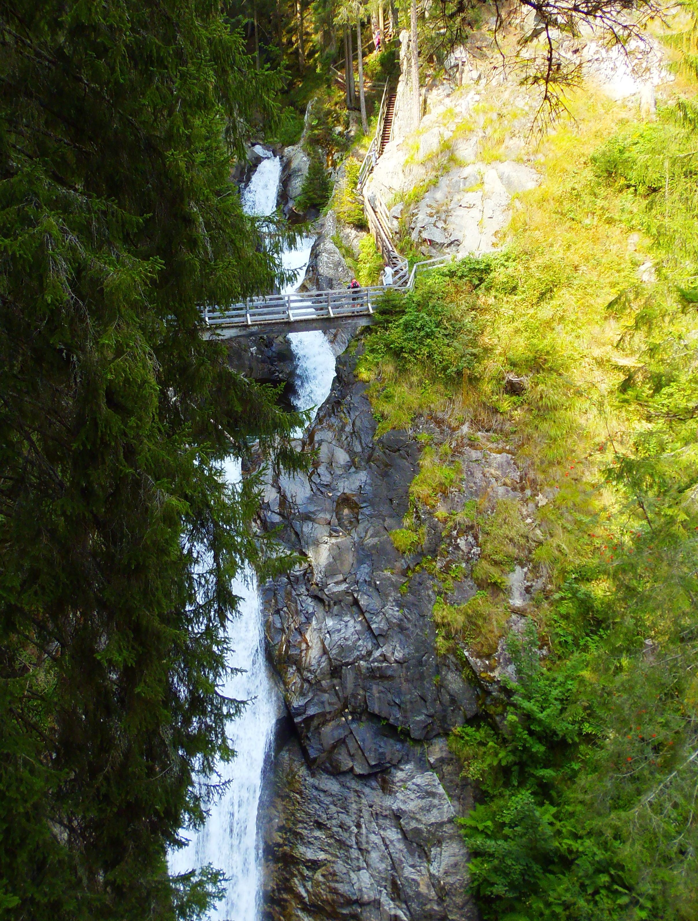 p8230652.JPG