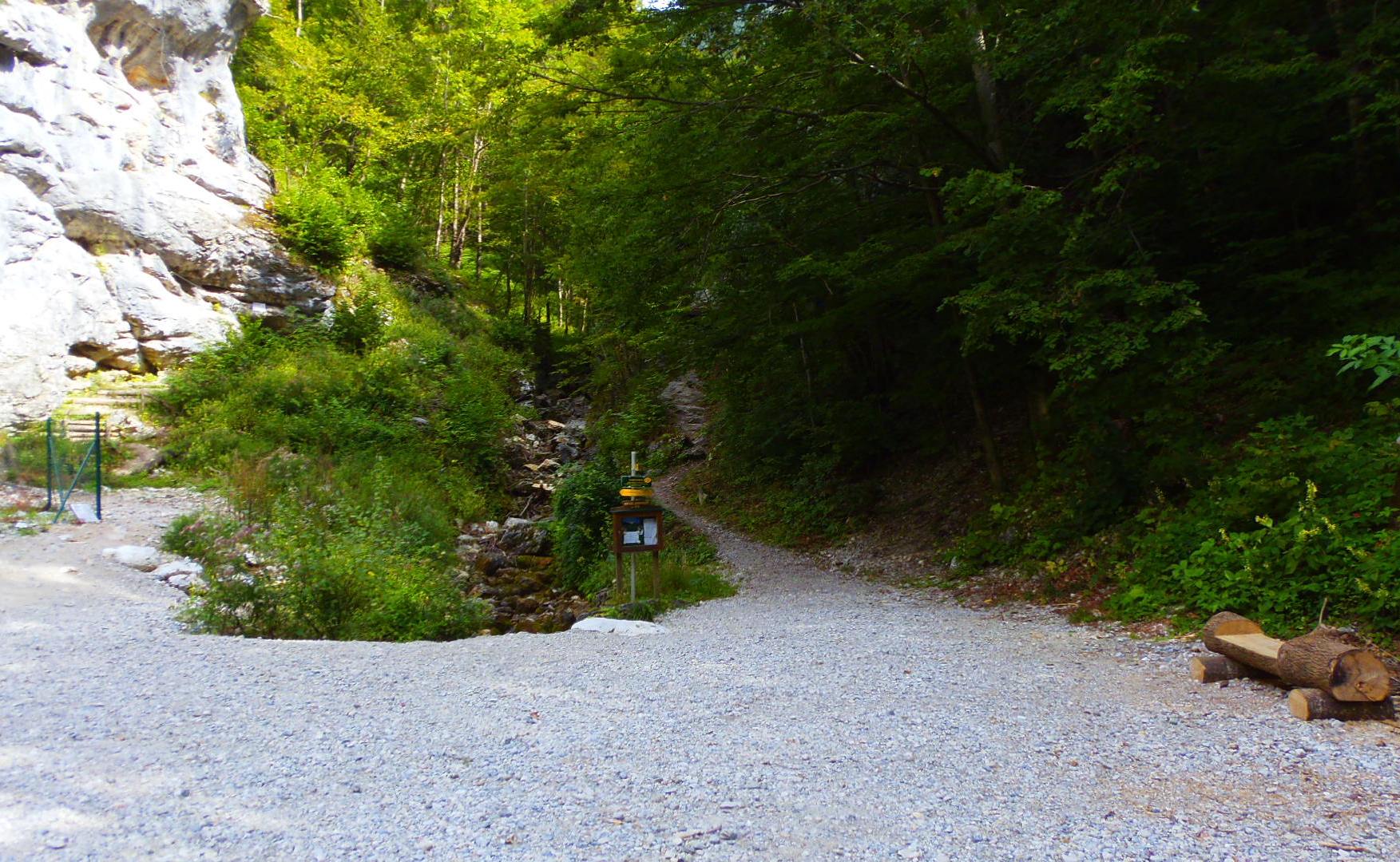 p9031973.JPG