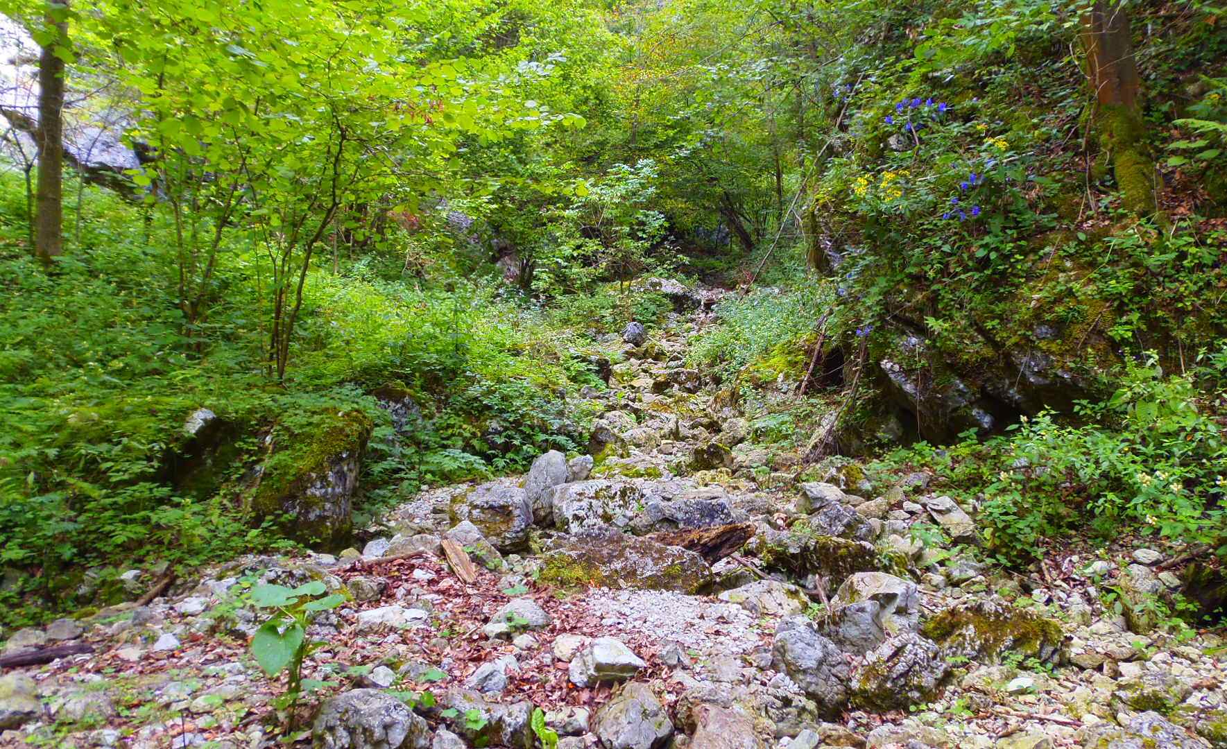 p9031990.JPG