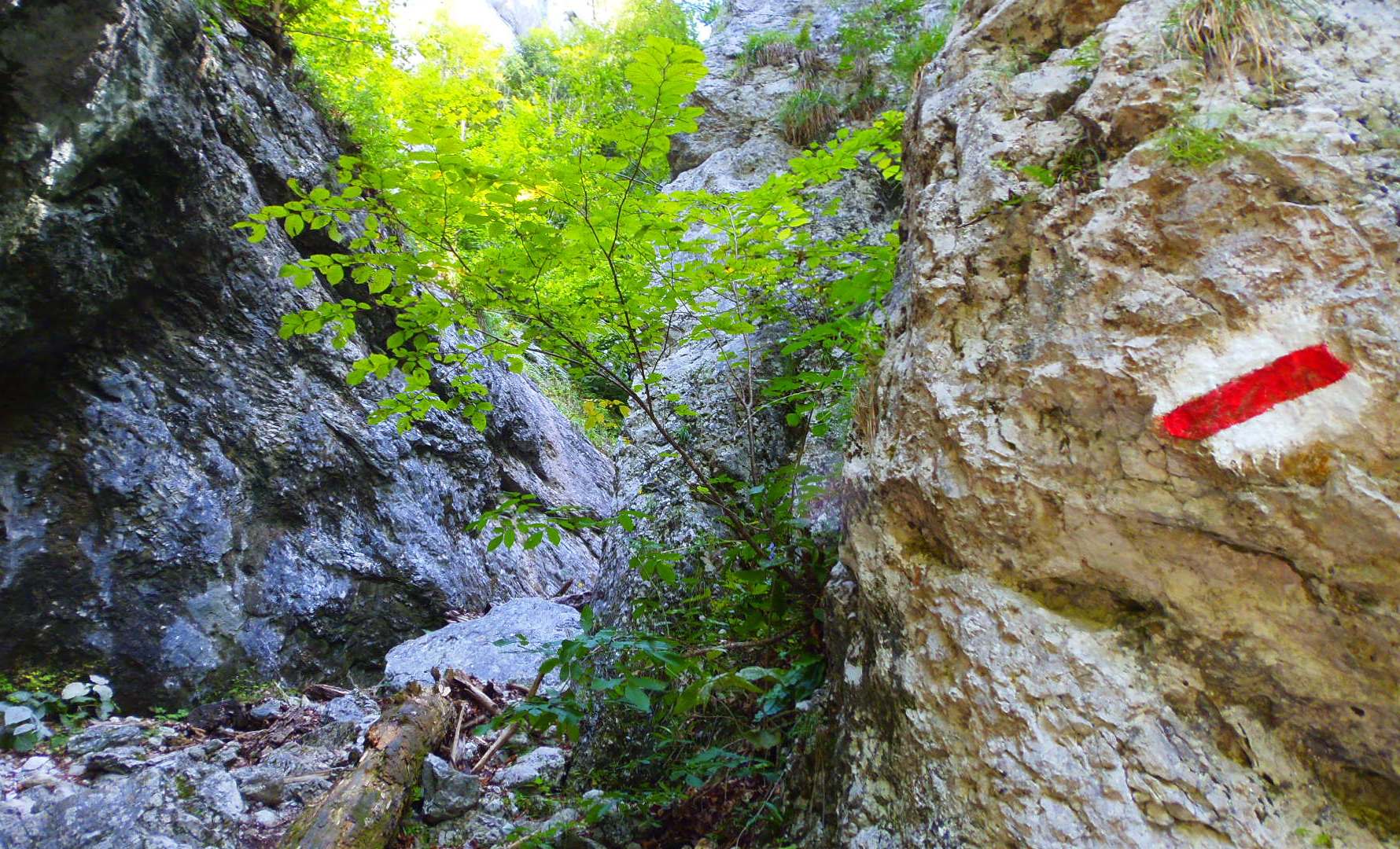 p9032031_1.JPG