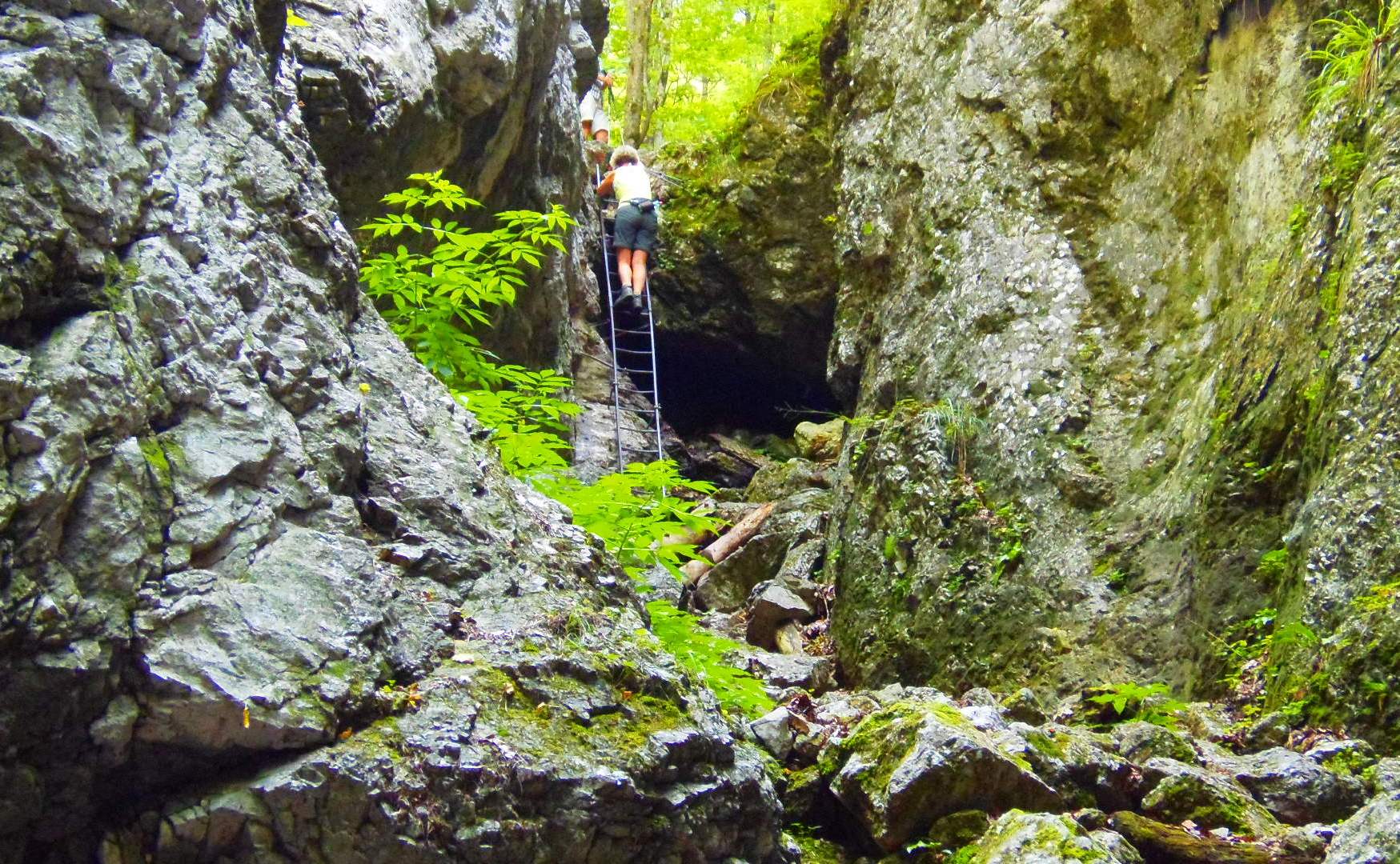 p9032081.JPG