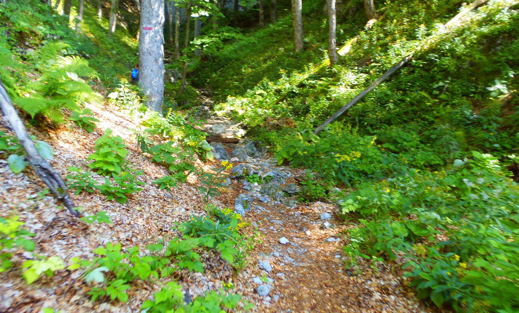 p9032170.JPG