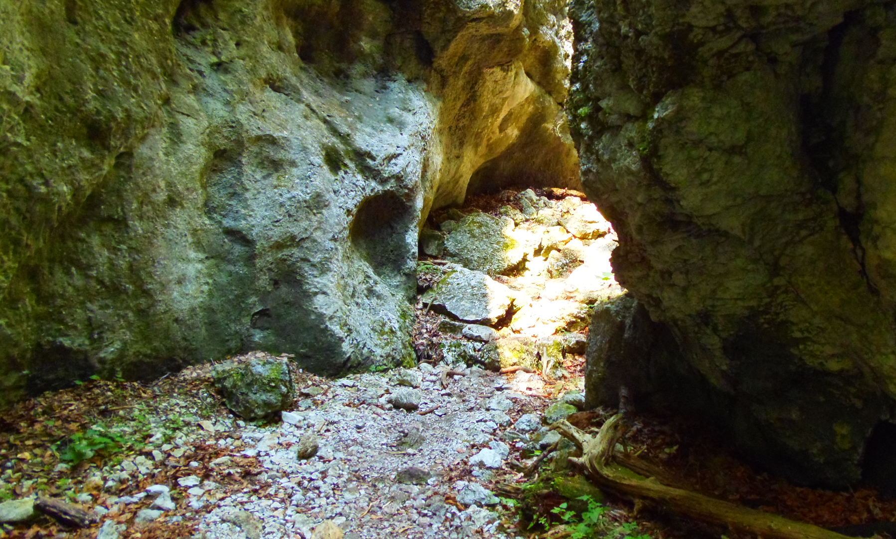 p9032176.JPG