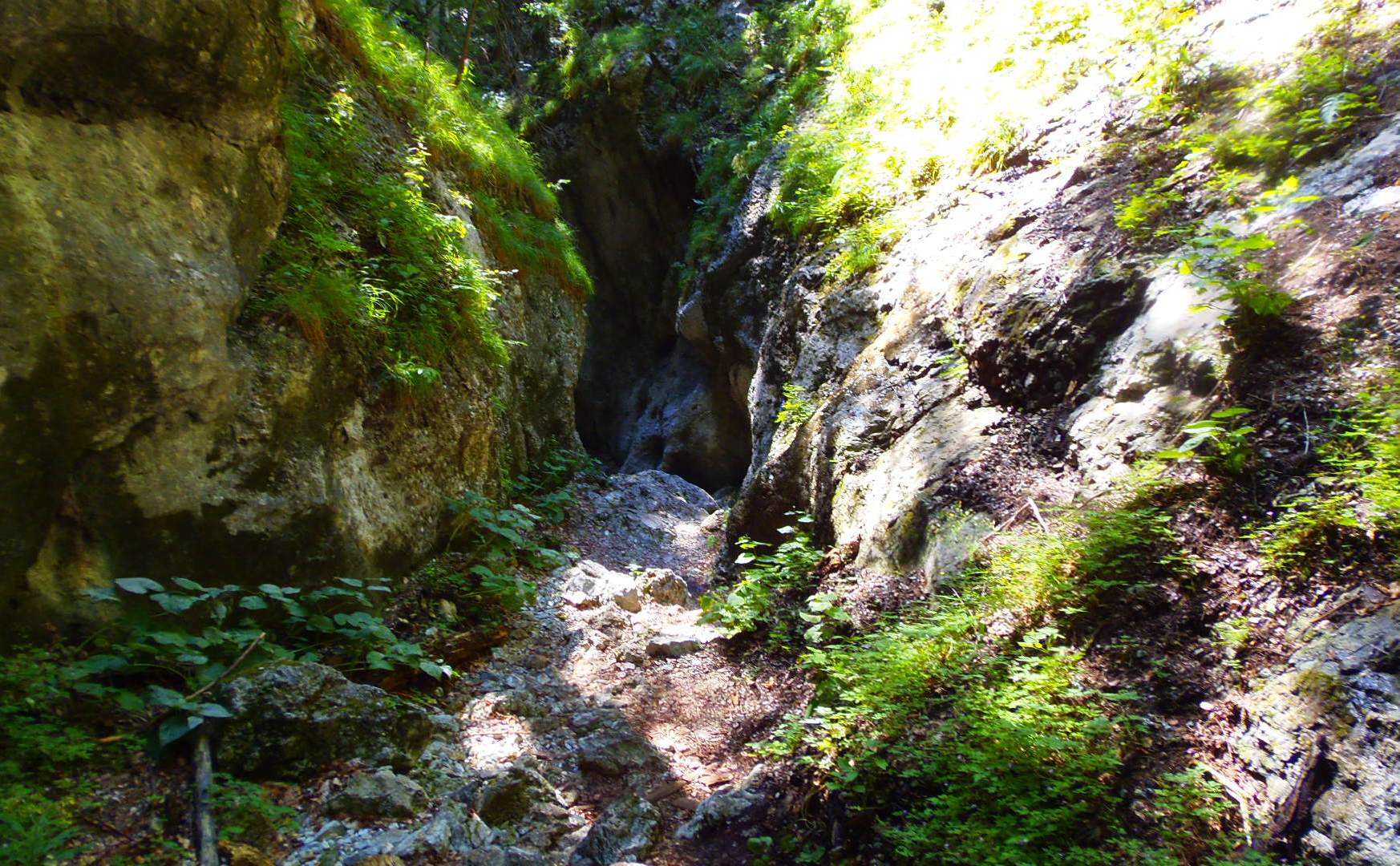 p9032181.JPG